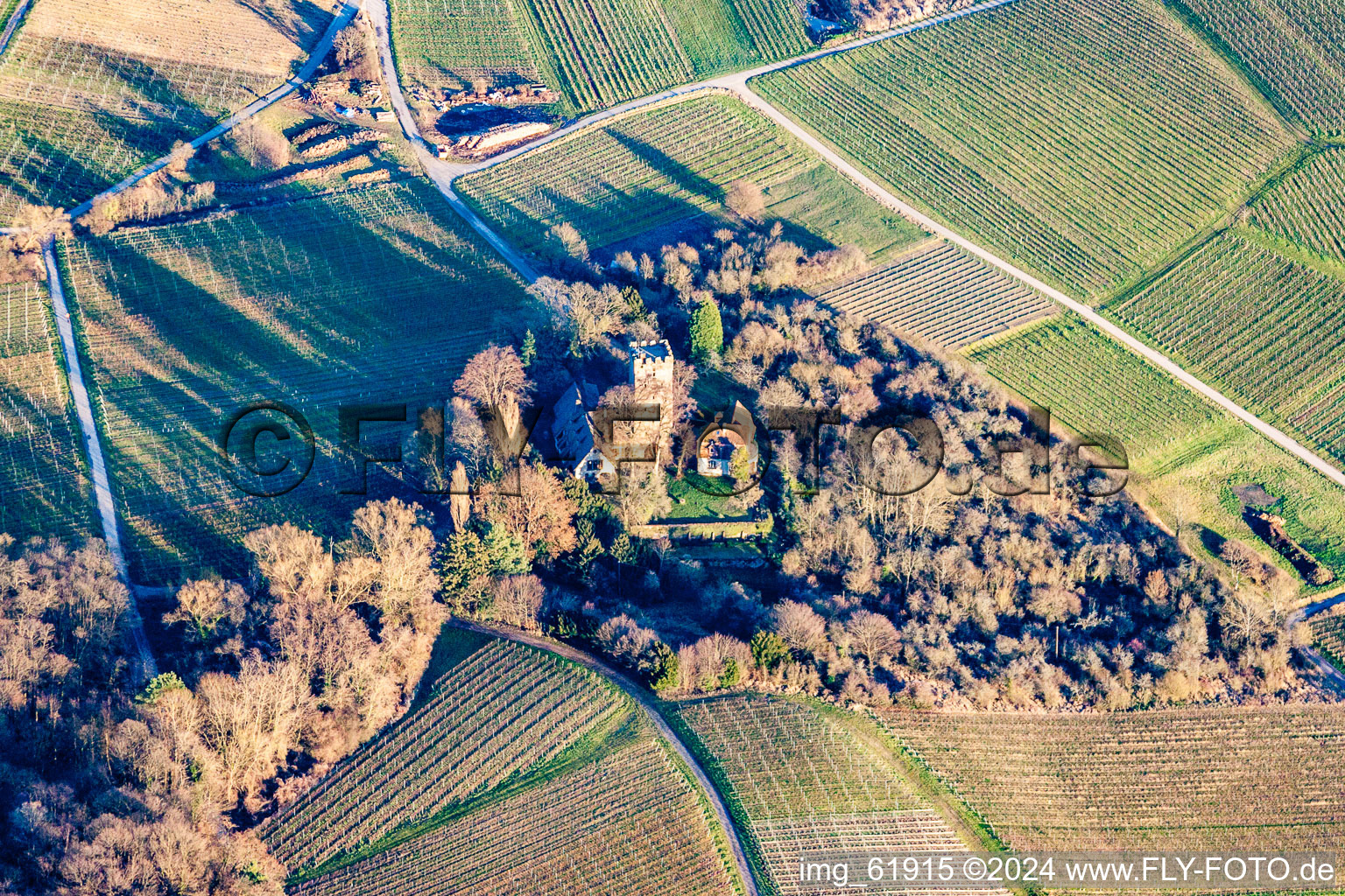 Vue aérienne de Bâtiments et parcs du manoir du Sonnenberg à Wissembourg dans le département Bas Rhin, France