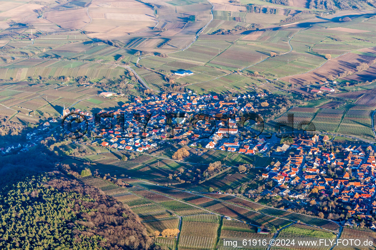 Vignobles et forêt en Rechtenbach à le quartier Rechtenbach in Schweigen-Rechtenbach dans le département Rhénanie-Palatinat, Allemagne d'en haut