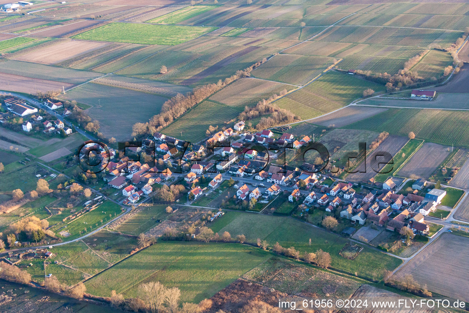 Hergersweiler dans le département Rhénanie-Palatinat, Allemagne depuis l'avion