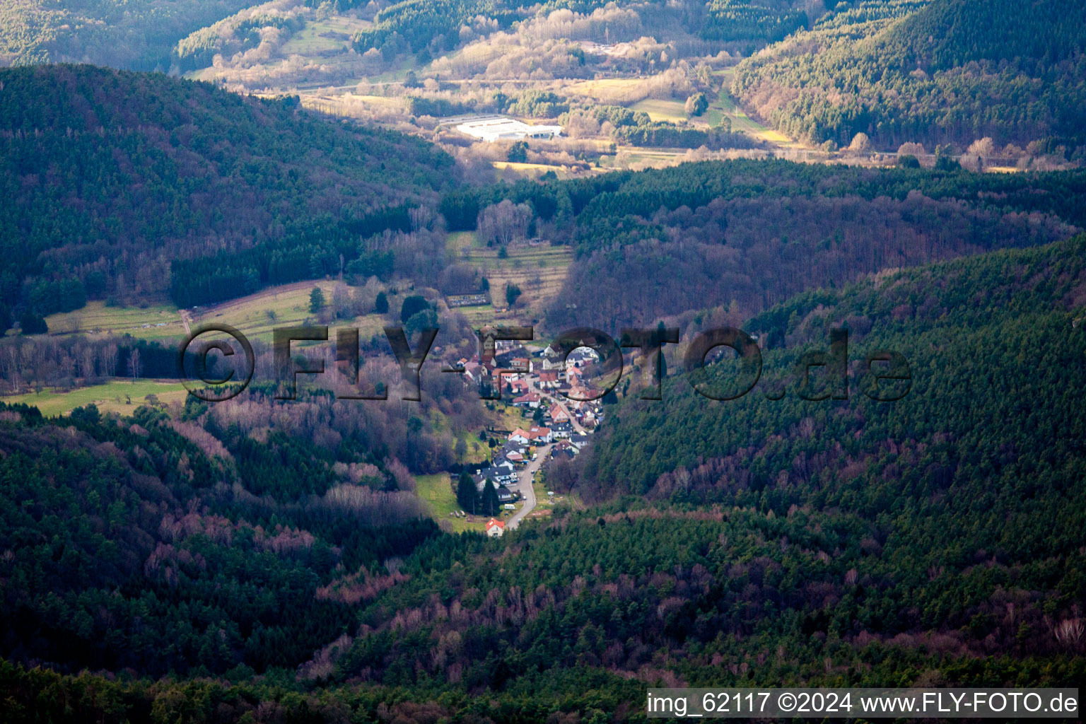 Dimbach dans le département Rhénanie-Palatinat, Allemagne du point de vue du drone