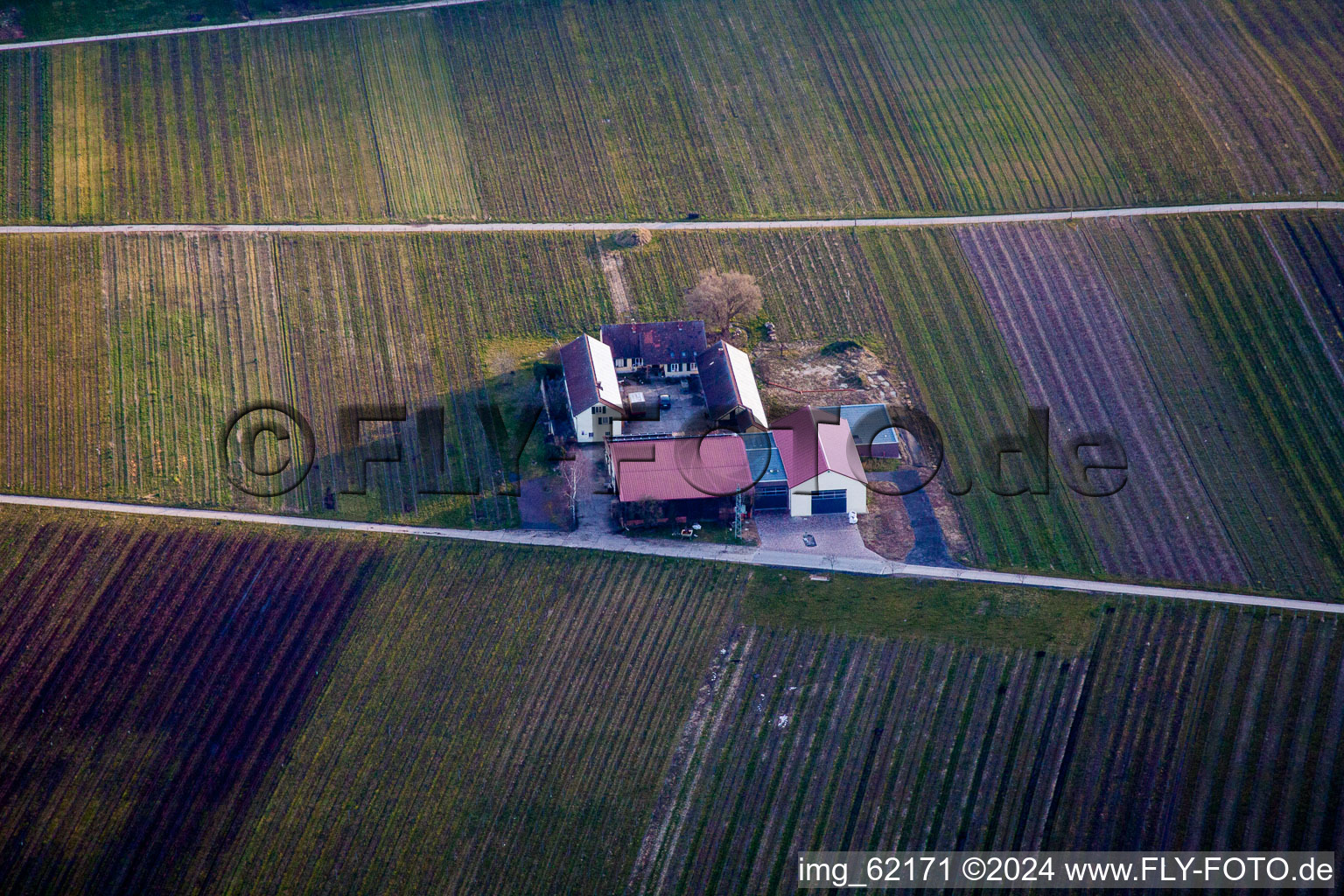 Vue aérienne de Aussiedlerhof Wacholderstr à Leinsweiler dans le département Rhénanie-Palatinat, Allemagne