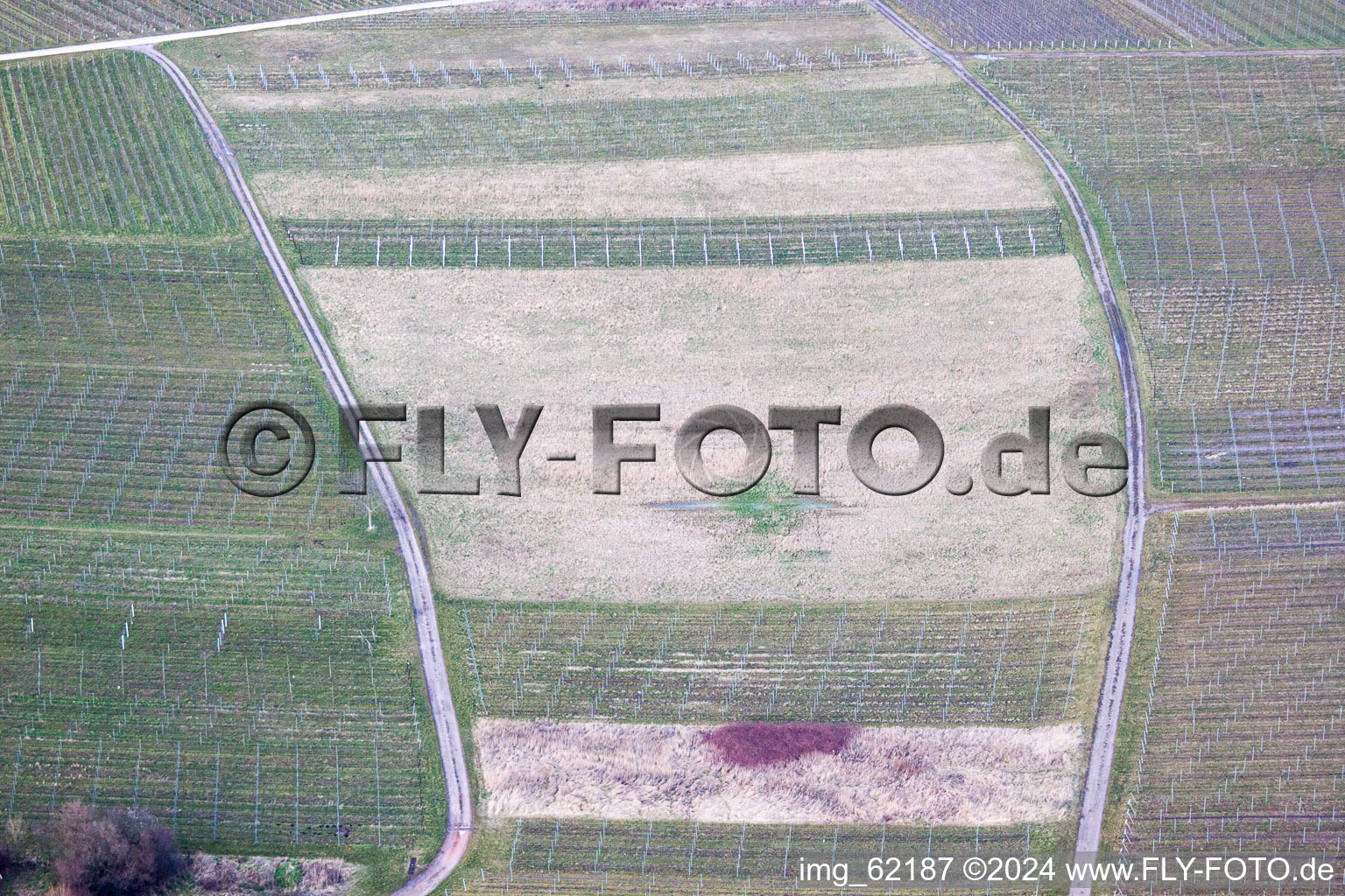 Sur Ilbesheim bei Landau in der Pfalz à Ilbesheim bei Landau in der Pfalz dans le département Rhénanie-Palatinat, Allemagne depuis l'avion