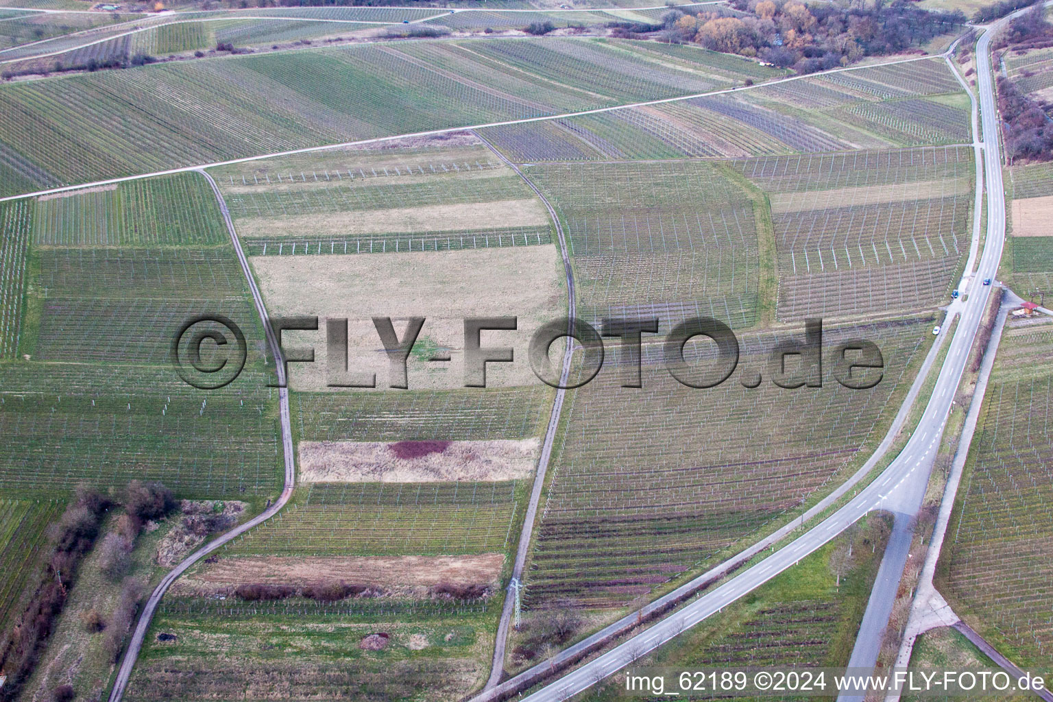 Sur Ilbesheim bei Landau in der Pfalz à Ilbesheim bei Landau in der Pfalz dans le département Rhénanie-Palatinat, Allemagne vue du ciel