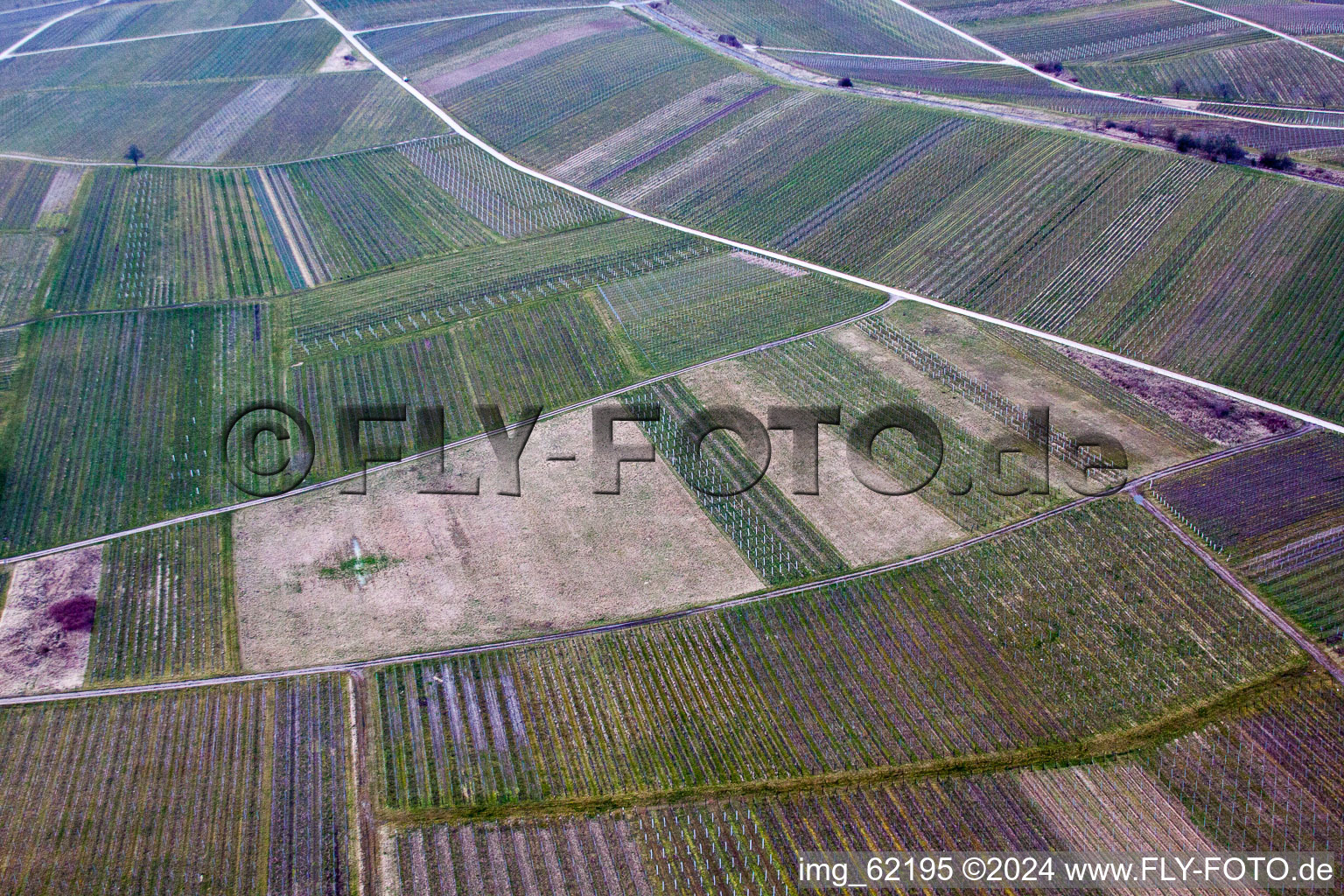 Image drone de Sur Ilbesheim bei Landau in der Pfalz à Ilbesheim bei Landau in der Pfalz dans le département Rhénanie-Palatinat, Allemagne