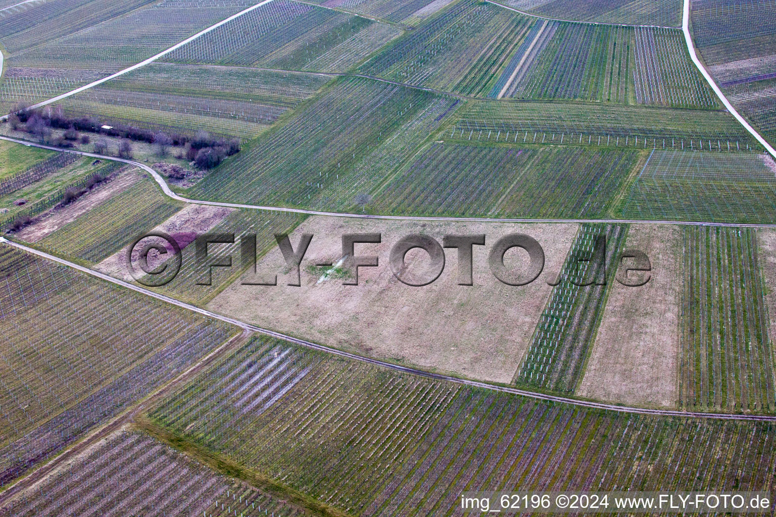 Sur Ilbesheim bei Landau in der Pfalz à Ilbesheim bei Landau in der Pfalz dans le département Rhénanie-Palatinat, Allemagne du point de vue du drone