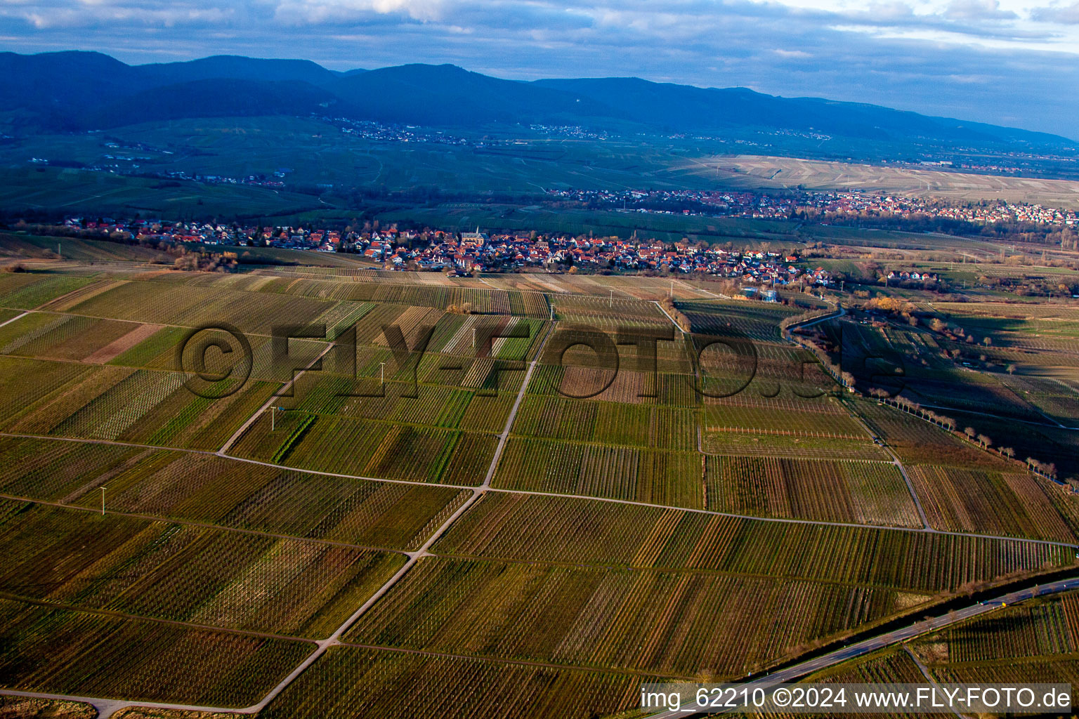 Vue aérienne de Du sud à le quartier Arzheim in Landau in der Pfalz dans le département Rhénanie-Palatinat, Allemagne