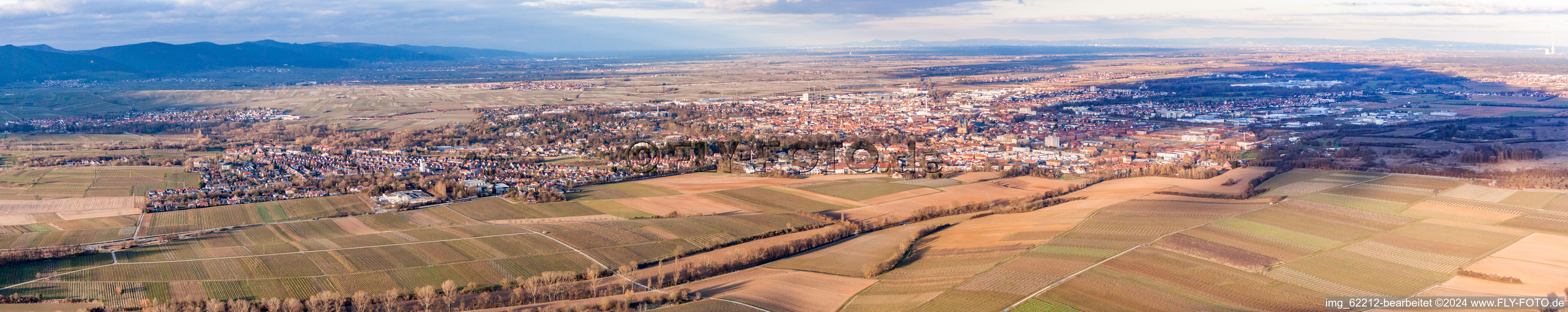 Vue aérienne de Zone urbaine en perspective panoramique avec périphérie et centre-ville à Landau in der Pfalz dans le département Rhénanie-Palatinat, Allemagne