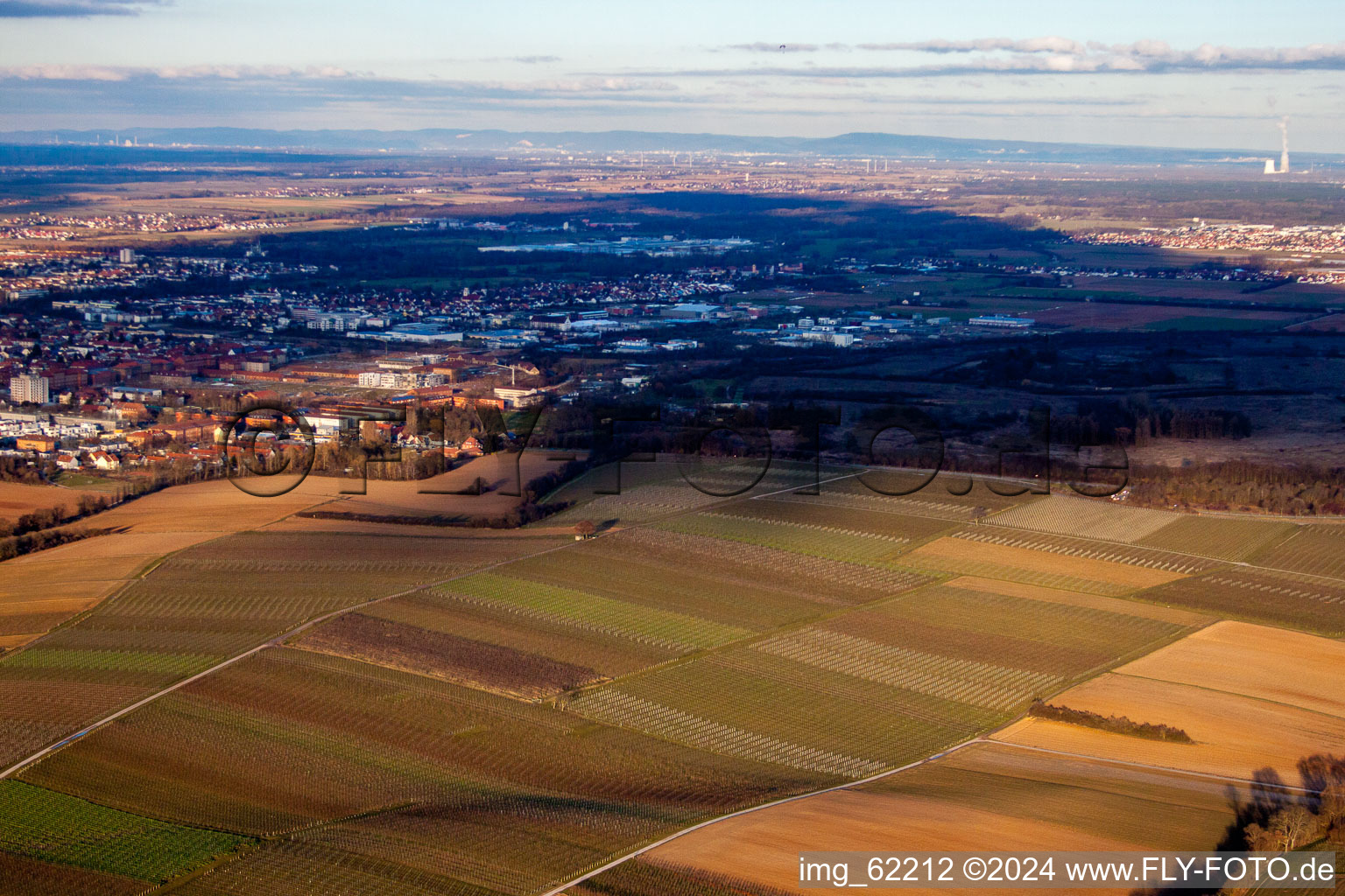 Enregistrement par drone de Landau de l'ouest à Landau in der Pfalz dans le département Rhénanie-Palatinat, Allemagne