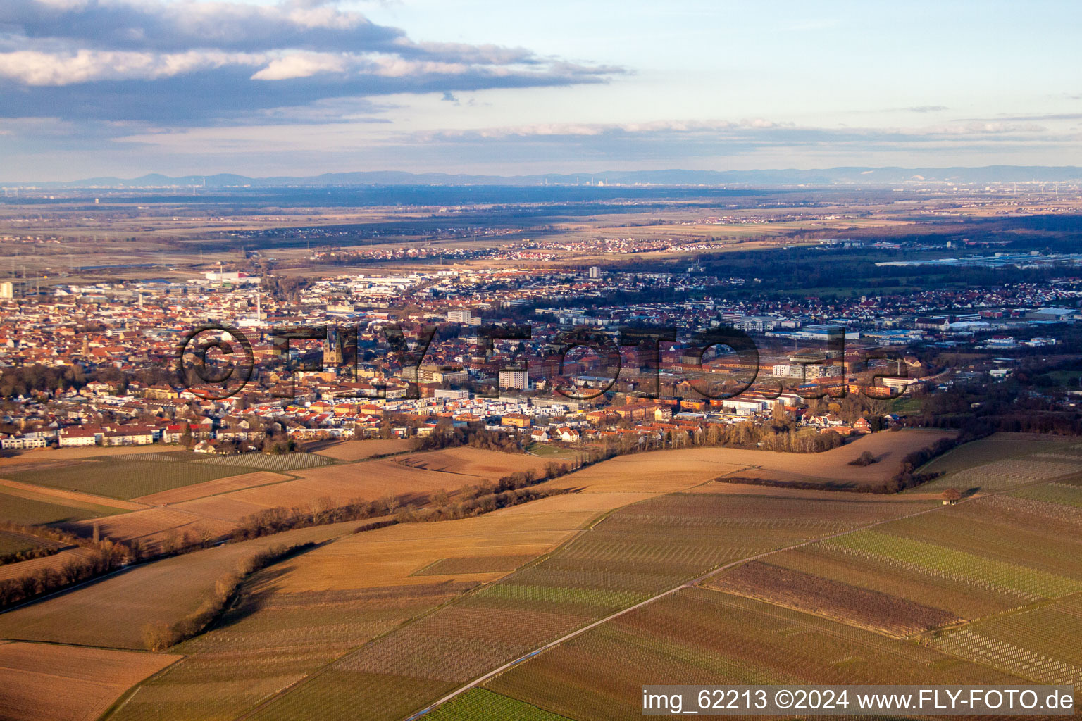 Image drone de Landau de l'ouest à Landau in der Pfalz dans le département Rhénanie-Palatinat, Allemagne