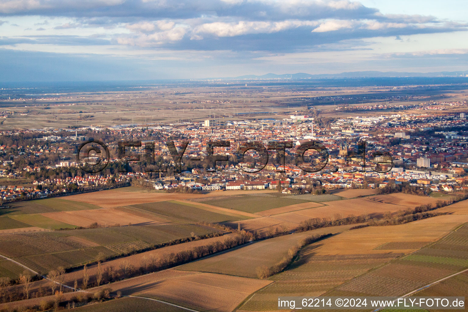 Landau de l'ouest à Landau in der Pfalz dans le département Rhénanie-Palatinat, Allemagne du point de vue du drone