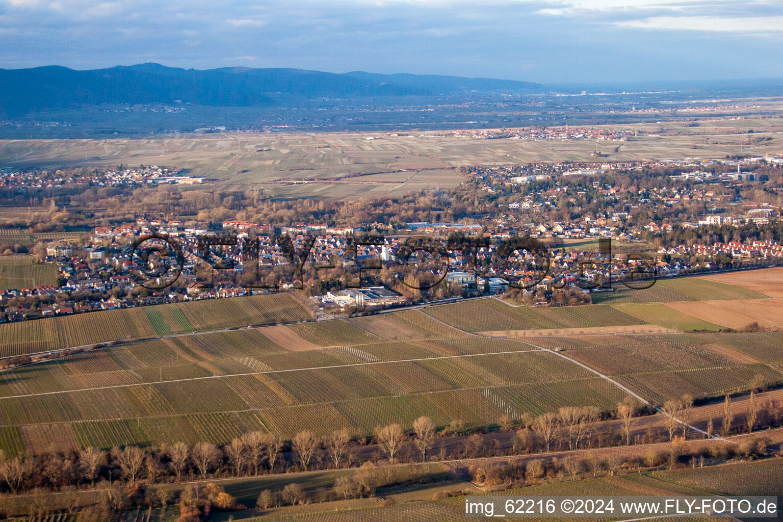 Landau de l'ouest à Landau in der Pfalz dans le département Rhénanie-Palatinat, Allemagne vu d'un drone