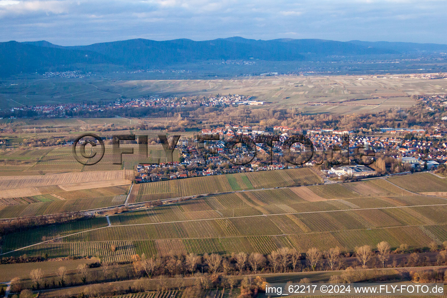 Vue aérienne de Landau de l'ouest à Landau in der Pfalz dans le département Rhénanie-Palatinat, Allemagne