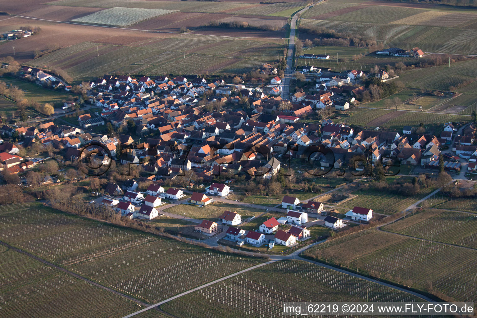 Champs agricoles et surfaces utilisables à Impflingen dans le département Rhénanie-Palatinat, Allemagne hors des airs