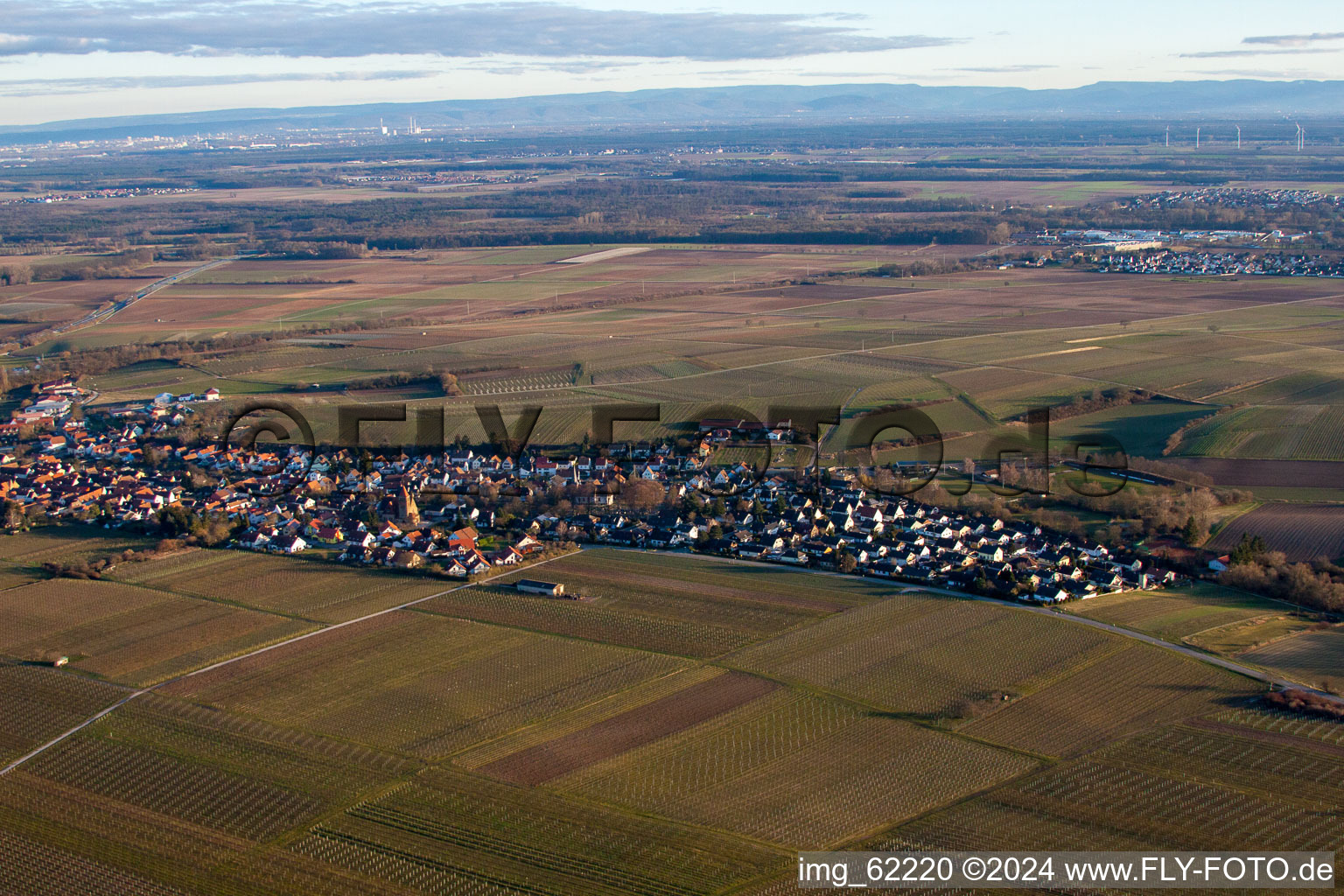 Vue aérienne de Insheim dans le département Rhénanie-Palatinat, Allemagne