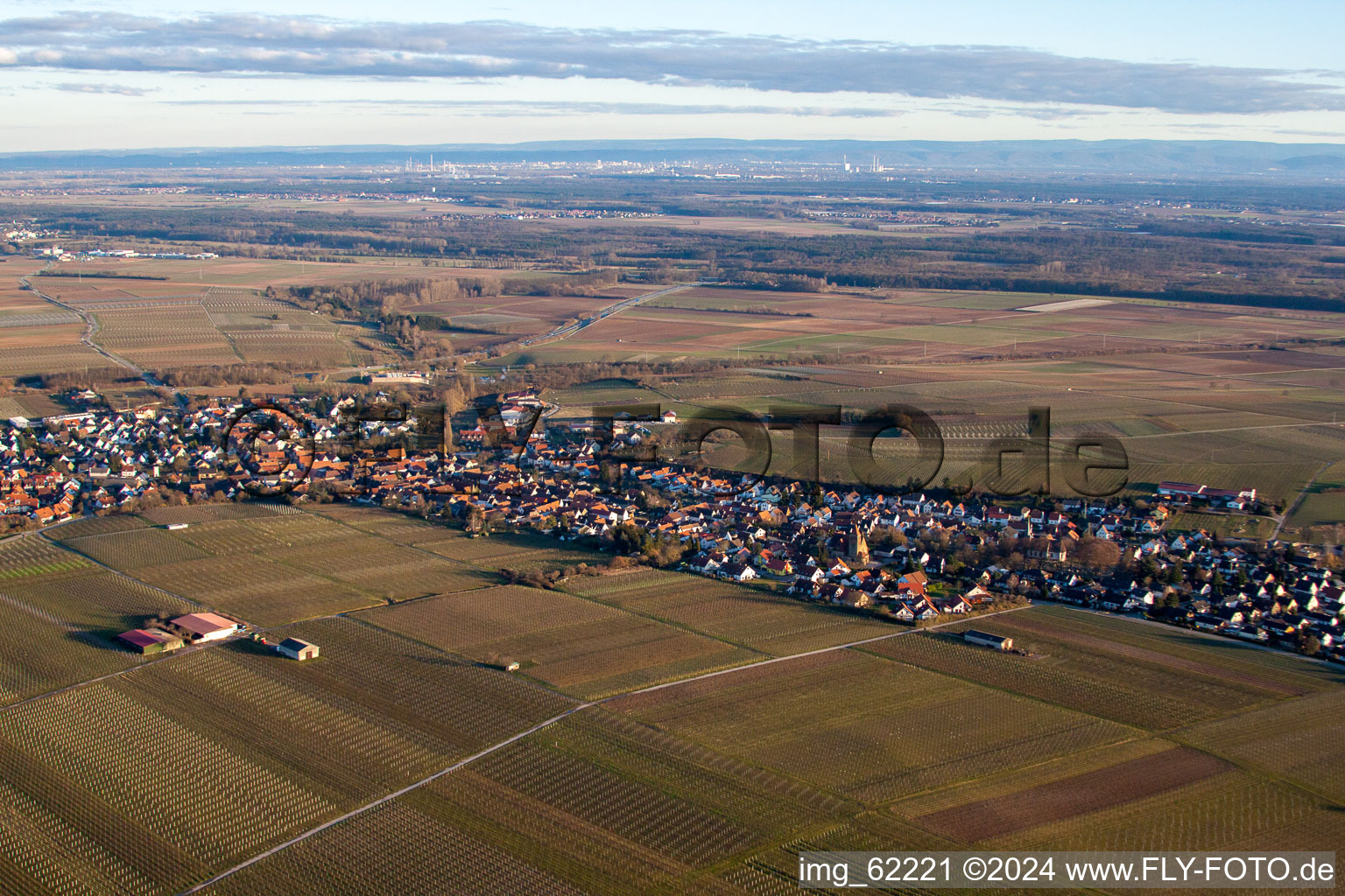 Photographie aérienne de Insheim dans le département Rhénanie-Palatinat, Allemagne