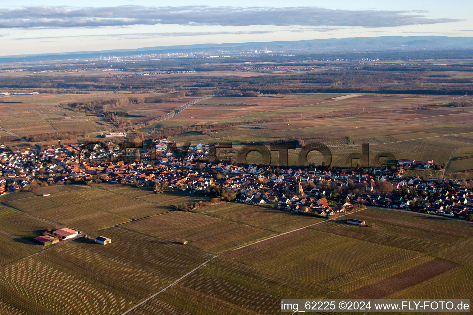 Insheim dans le département Rhénanie-Palatinat, Allemagne vue d'en haut