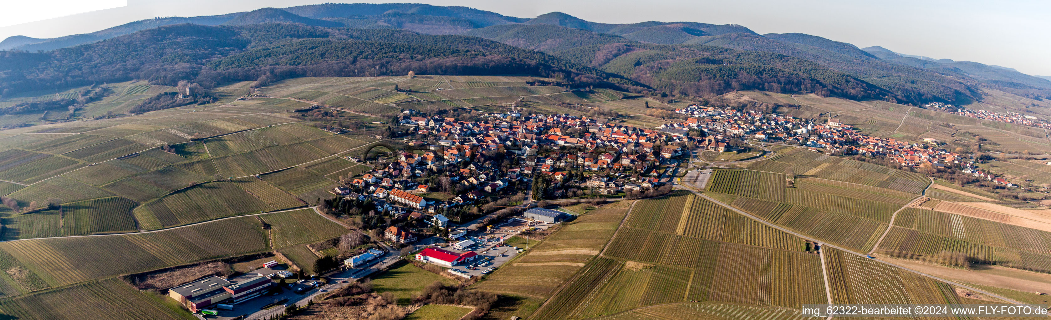 Vue oblique de Vignobles en Schweigen à le quartier Schweigen in Schweigen-Rechtenbach dans le département Rhénanie-Palatinat, Allemagne