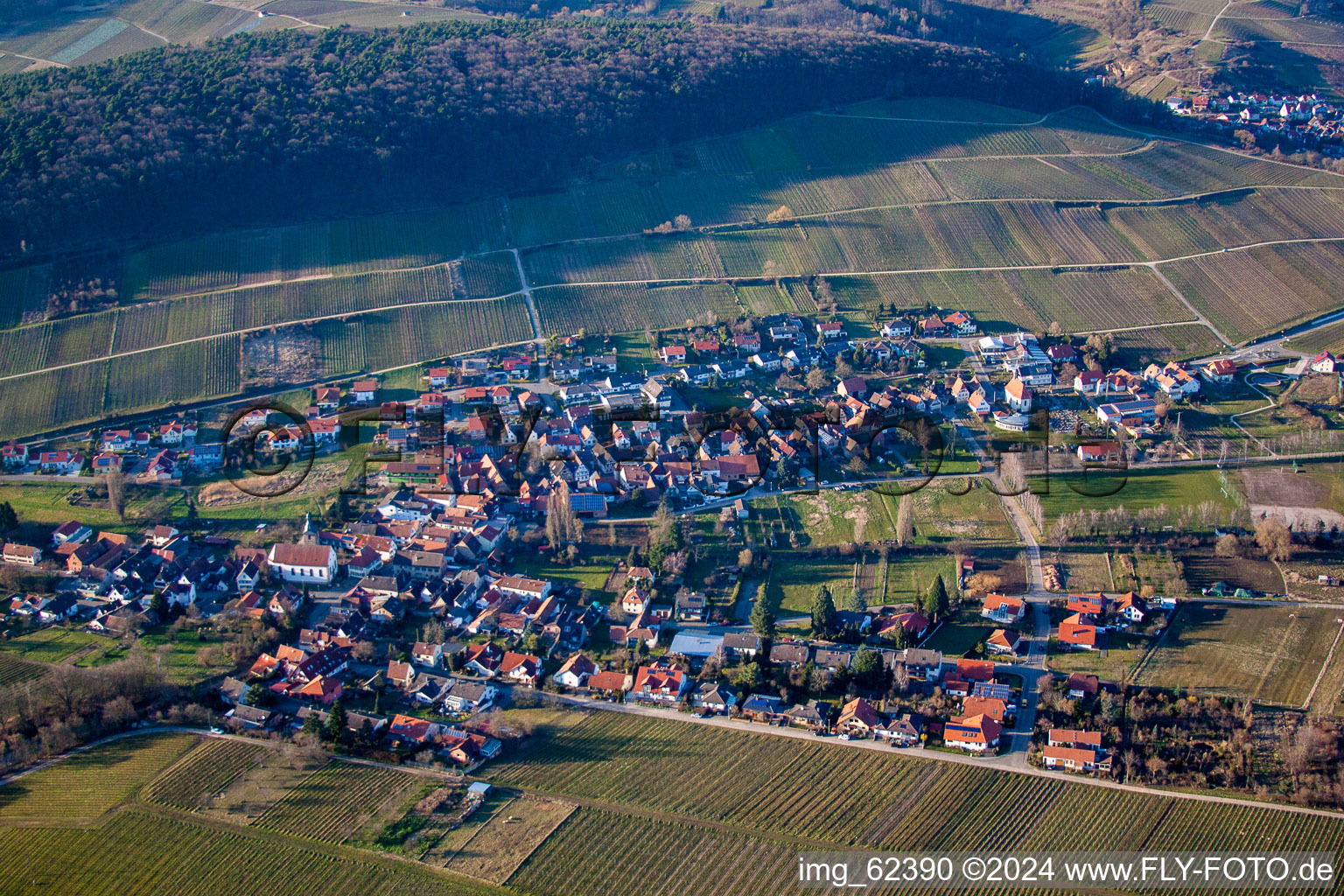 Vue aérienne de Quartier Pleisweiler in Pleisweiler-Oberhofen dans le département Rhénanie-Palatinat, Allemagne