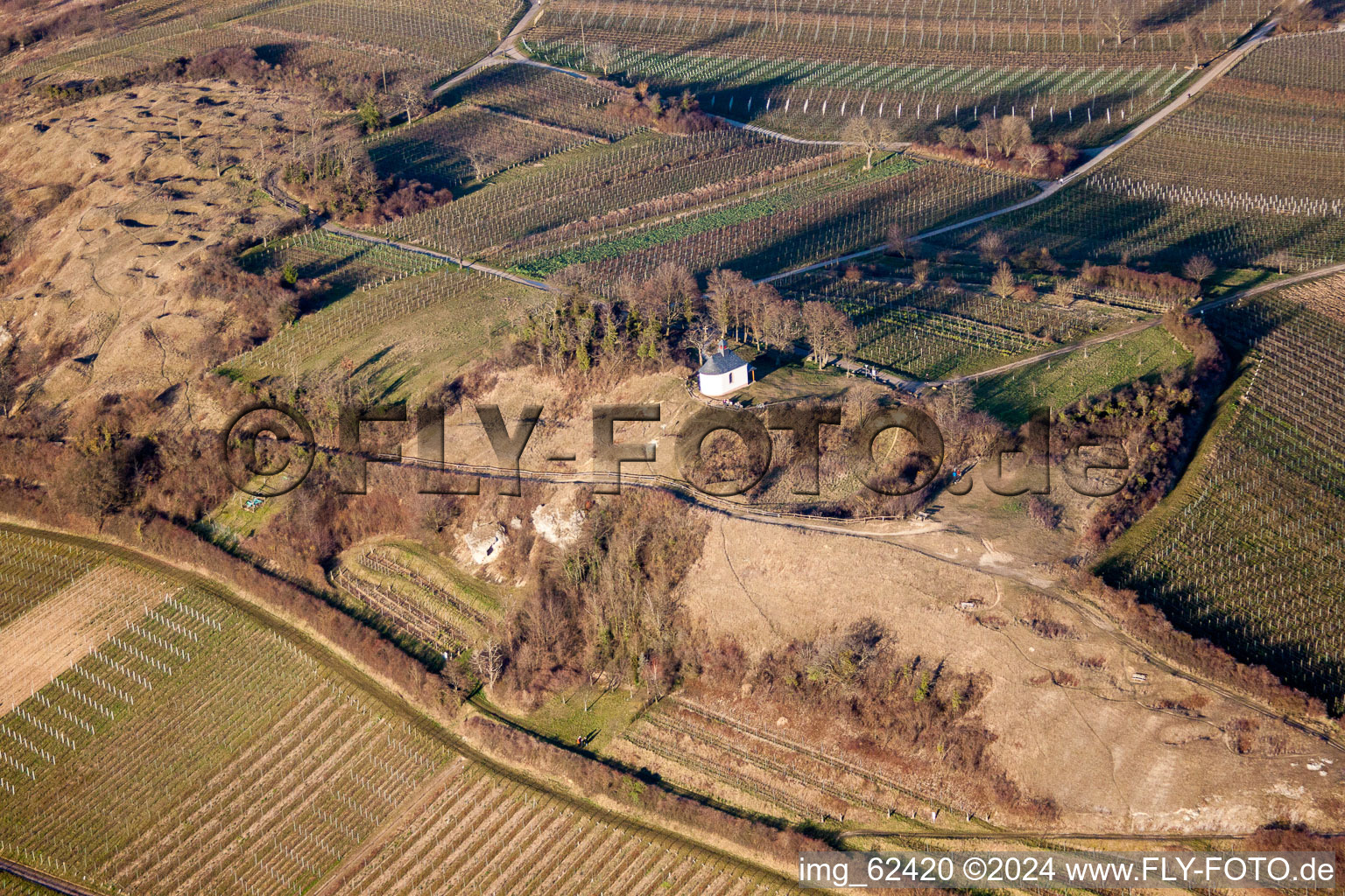 Vue aérienne de Petit Kalmit à Ilbesheim bei Landau in der Pfalz dans le département Rhénanie-Palatinat, Allemagne