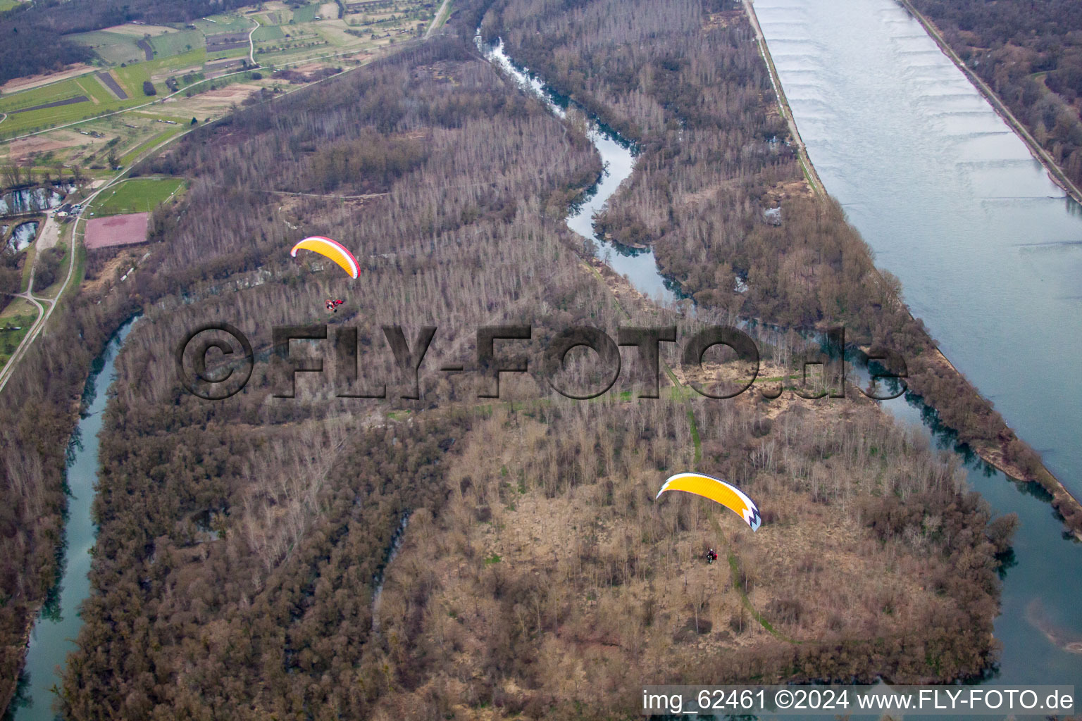 Vue aérienne de Vieux Rhin Bremengrund à Au am Rhein dans le département Bade-Wurtemberg, Allemagne