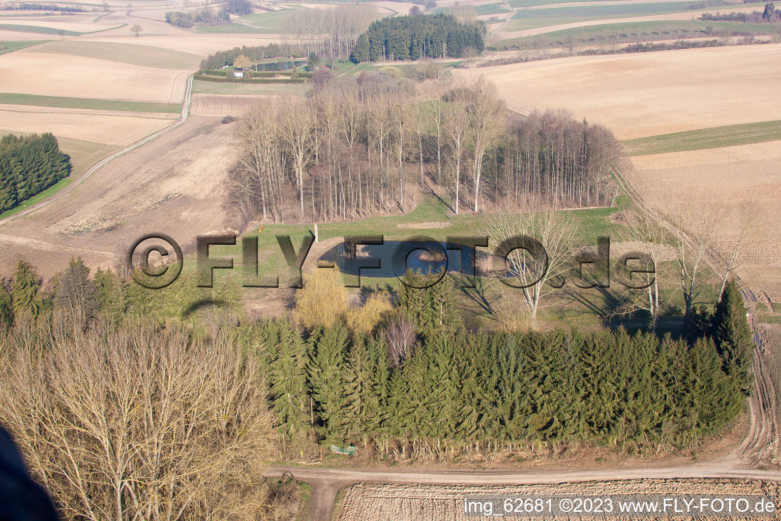 Vue d'oiseau de Siegen dans le département Bas Rhin, France