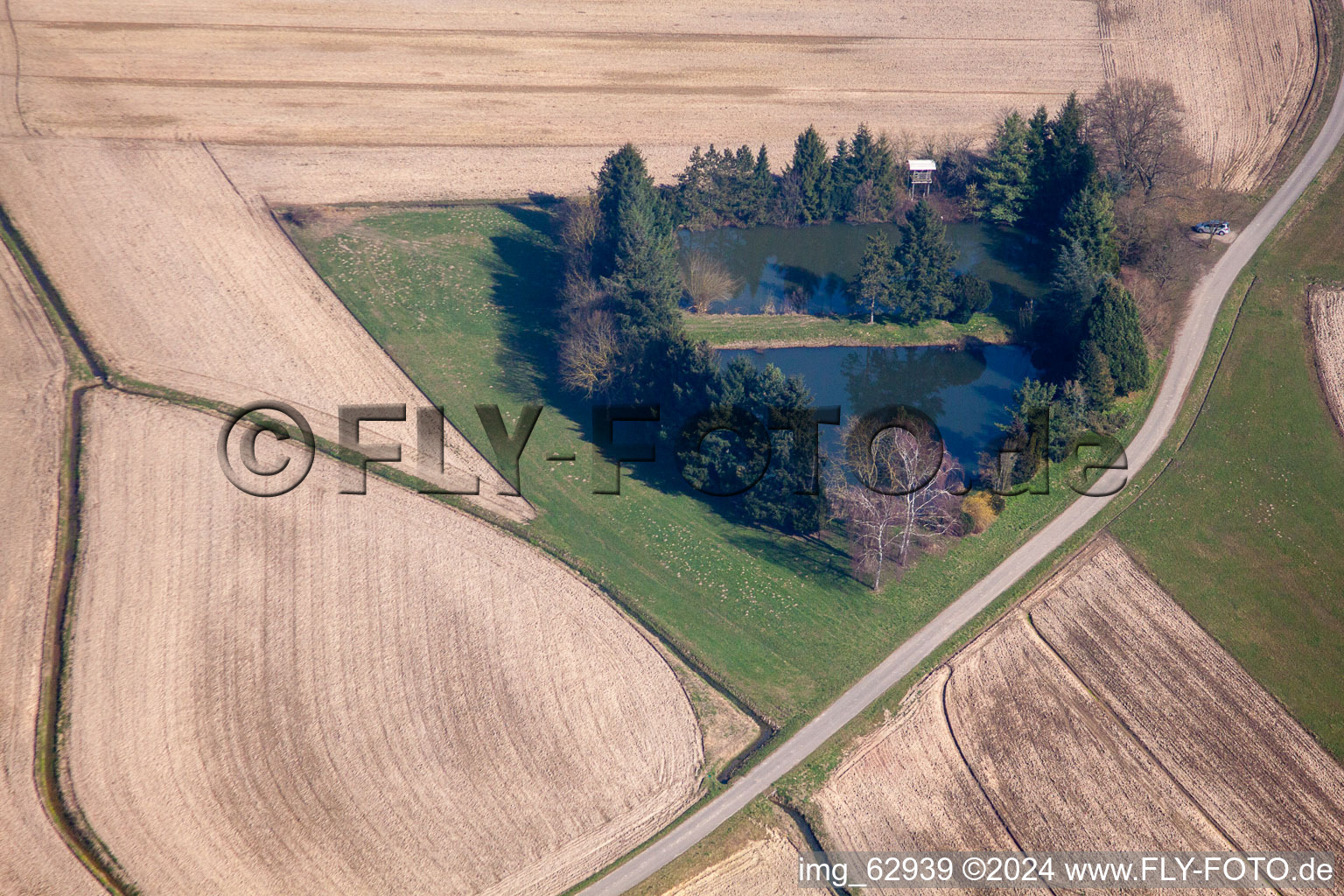 Vue aérienne de Fischweier à le quartier Legelshurst in Willstätt dans le département Bade-Wurtemberg, Allemagne