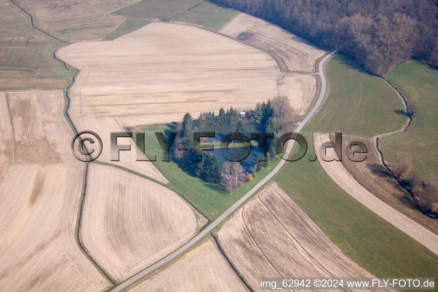 Photographie aérienne de Fischweier à le quartier Legelshurst in Willstätt dans le département Bade-Wurtemberg, Allemagne