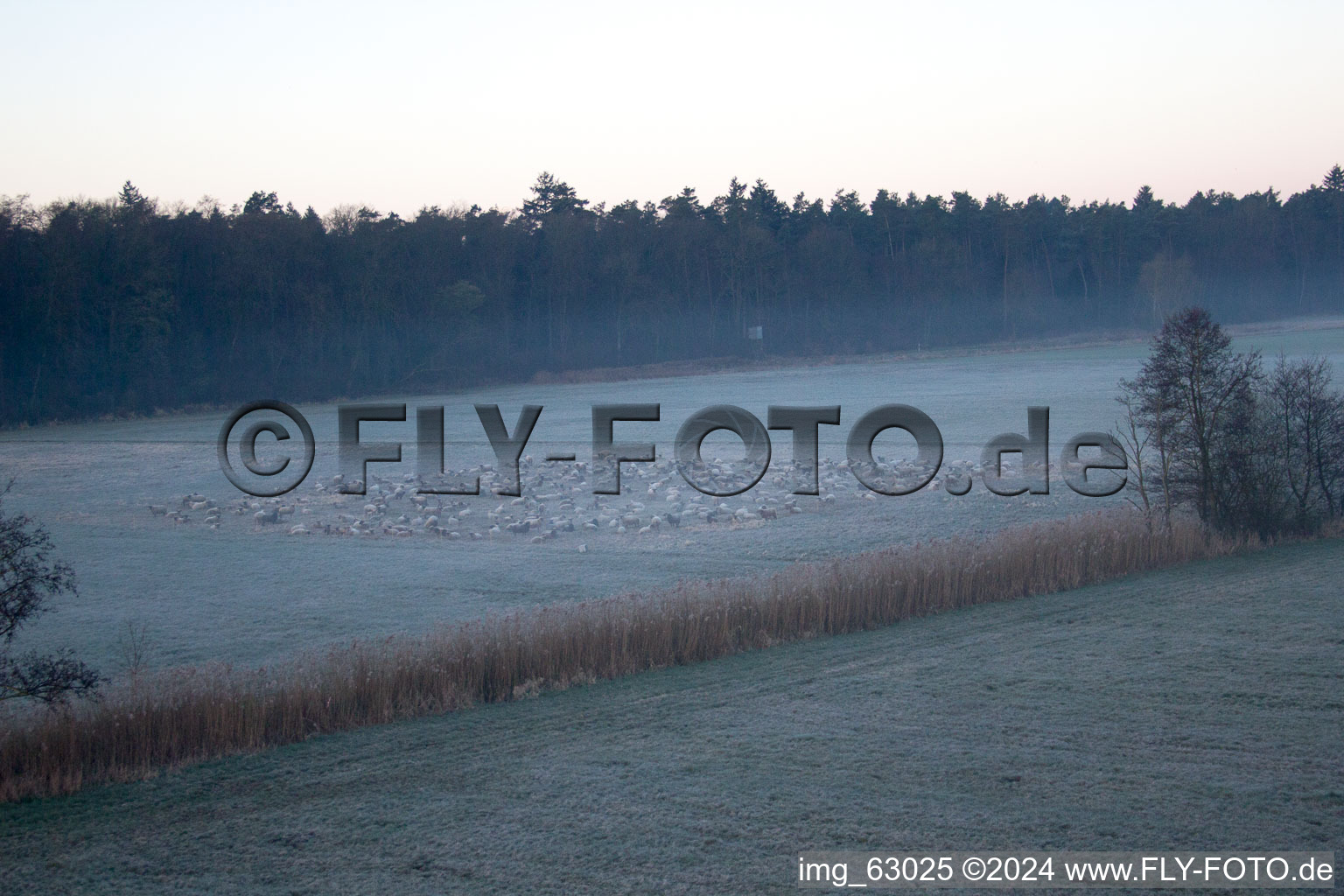 Vallée d'Otterbachtal à Minfeld dans le département Rhénanie-Palatinat, Allemagne vue du ciel