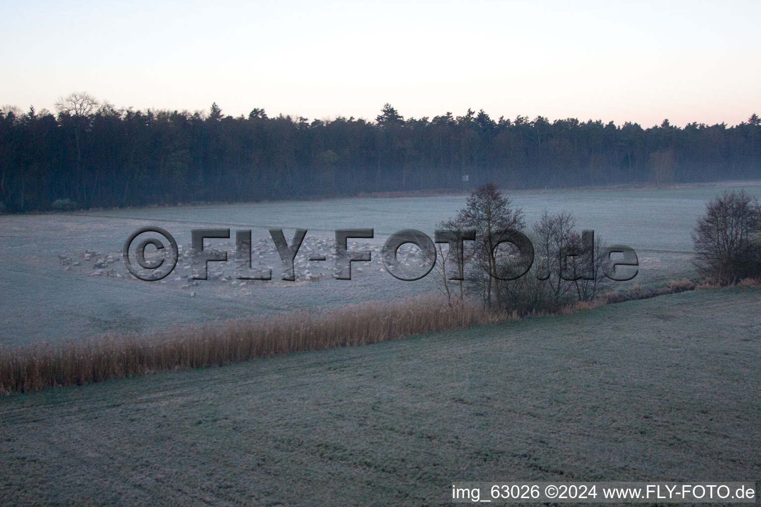 Enregistrement par drone de Vallée d'Otterbachtal à Minfeld dans le département Rhénanie-Palatinat, Allemagne