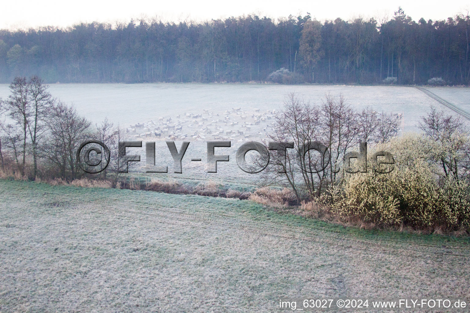 Image drone de Vallée d'Otterbachtal à Minfeld dans le département Rhénanie-Palatinat, Allemagne