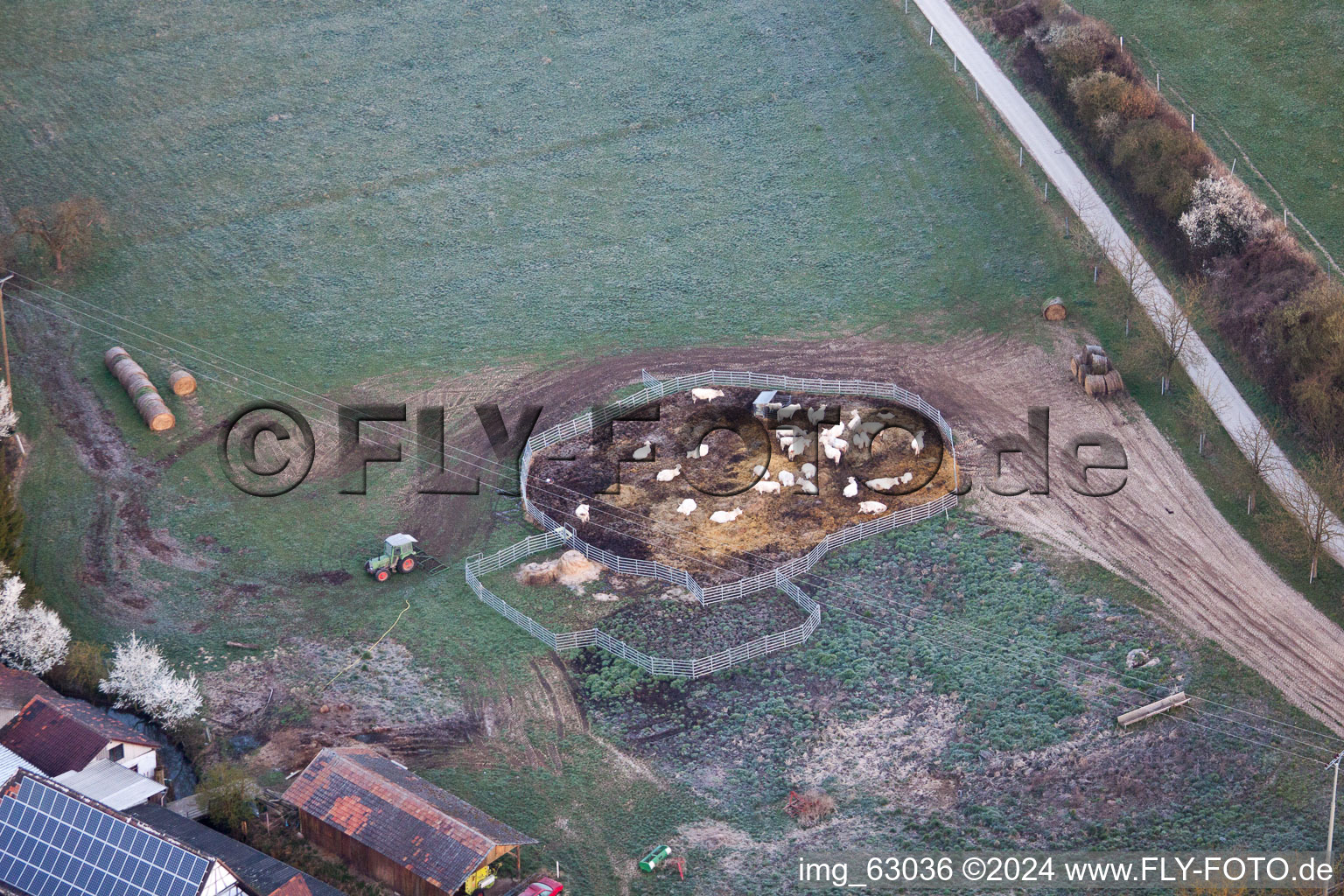 Photographie aérienne de Moulin Schaidter à le quartier Schaidt in Wörth am Rhein dans le département Rhénanie-Palatinat, Allemagne