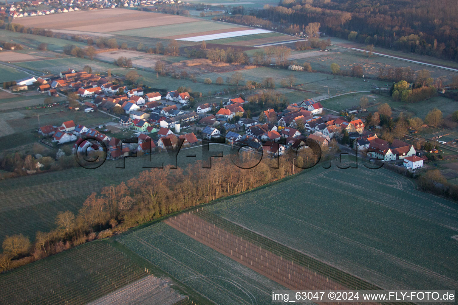 Vue d'oiseau de Hergersweiler dans le département Rhénanie-Palatinat, Allemagne