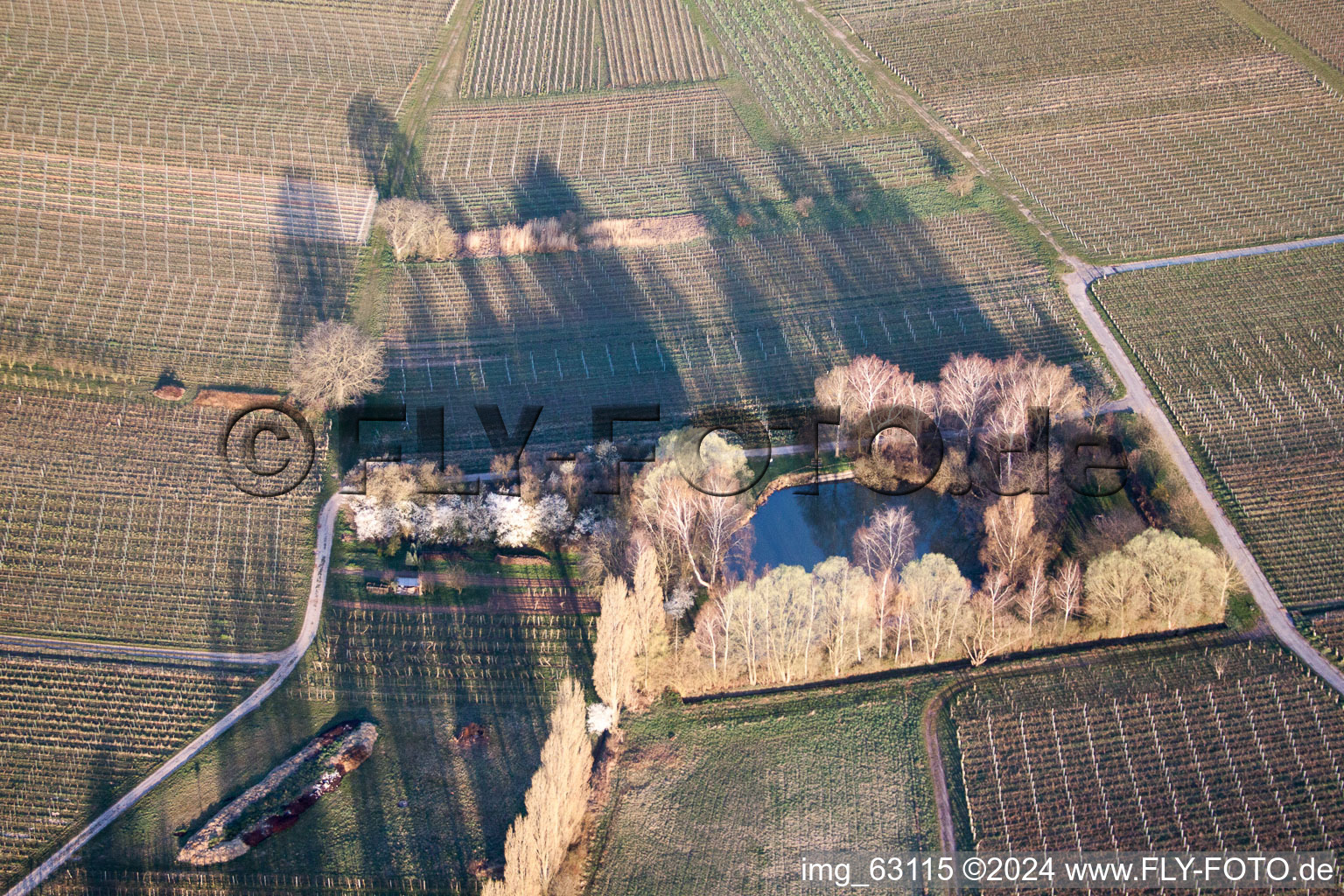 Photographie aérienne de Ilbesheim bei Landau in der Pfalz dans le département Rhénanie-Palatinat, Allemagne