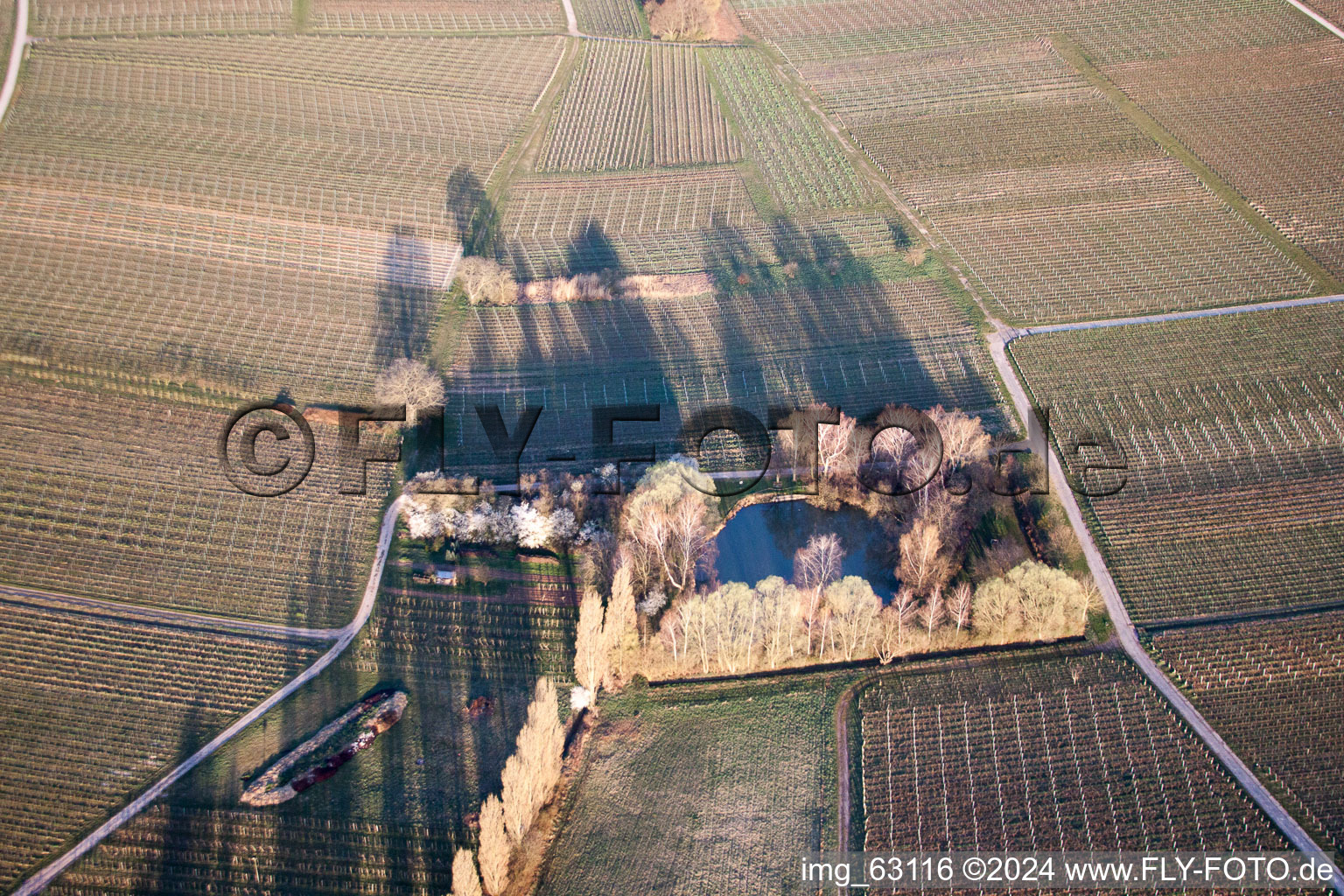 Vue oblique de Ilbesheim bei Landau in der Pfalz dans le département Rhénanie-Palatinat, Allemagne