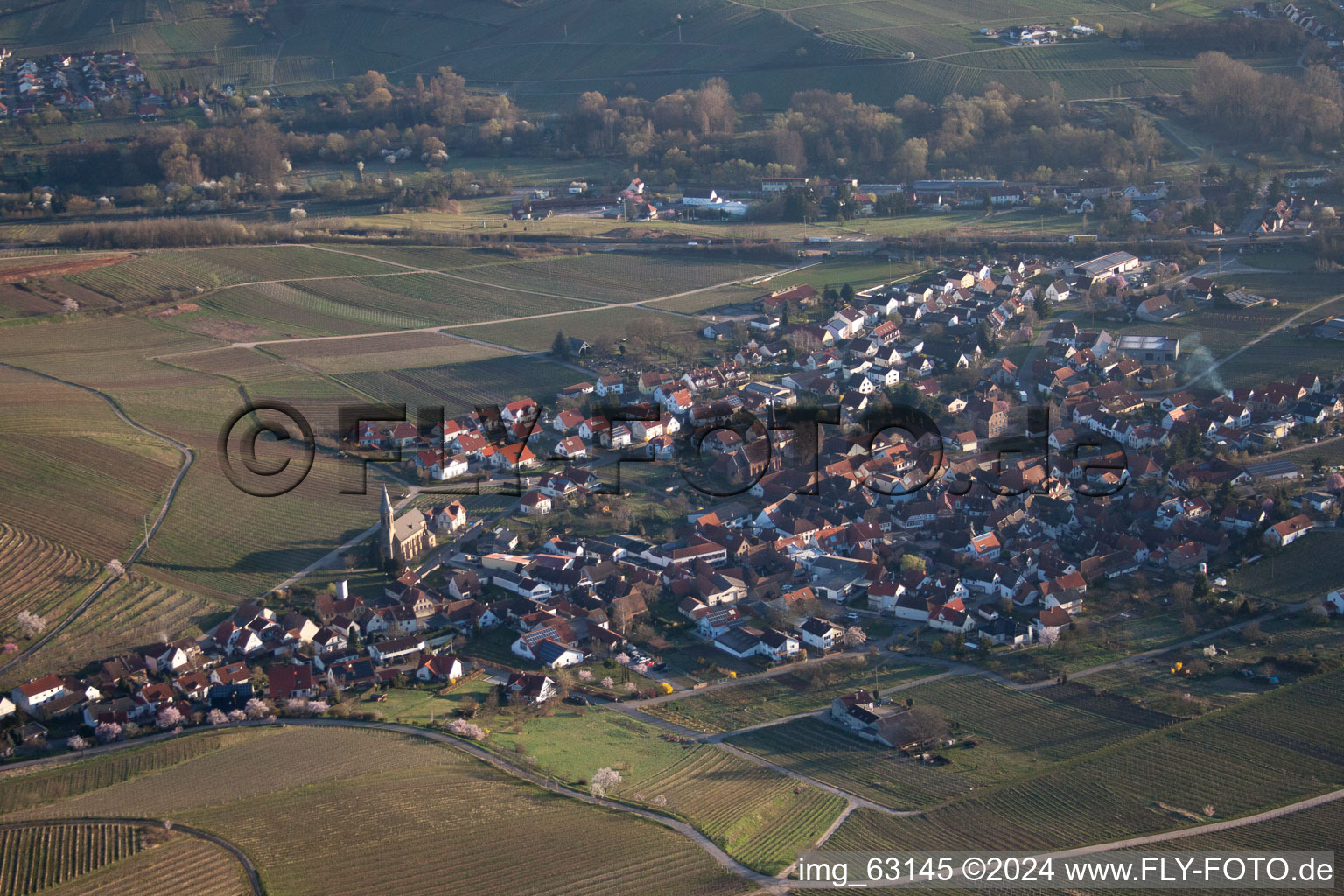 Image drone de Birkweiler dans le département Rhénanie-Palatinat, Allemagne