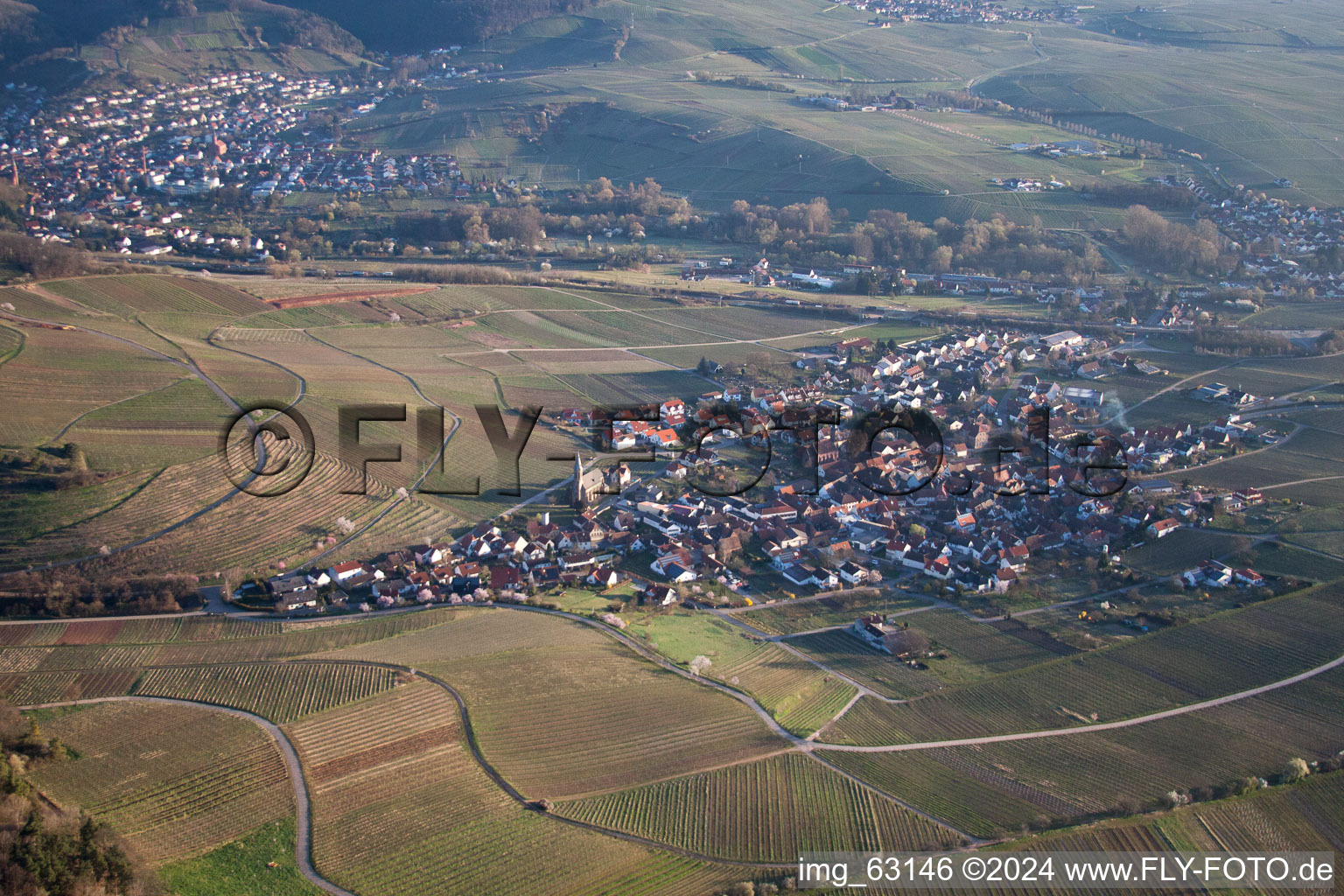 Birkweiler dans le département Rhénanie-Palatinat, Allemagne depuis l'avion