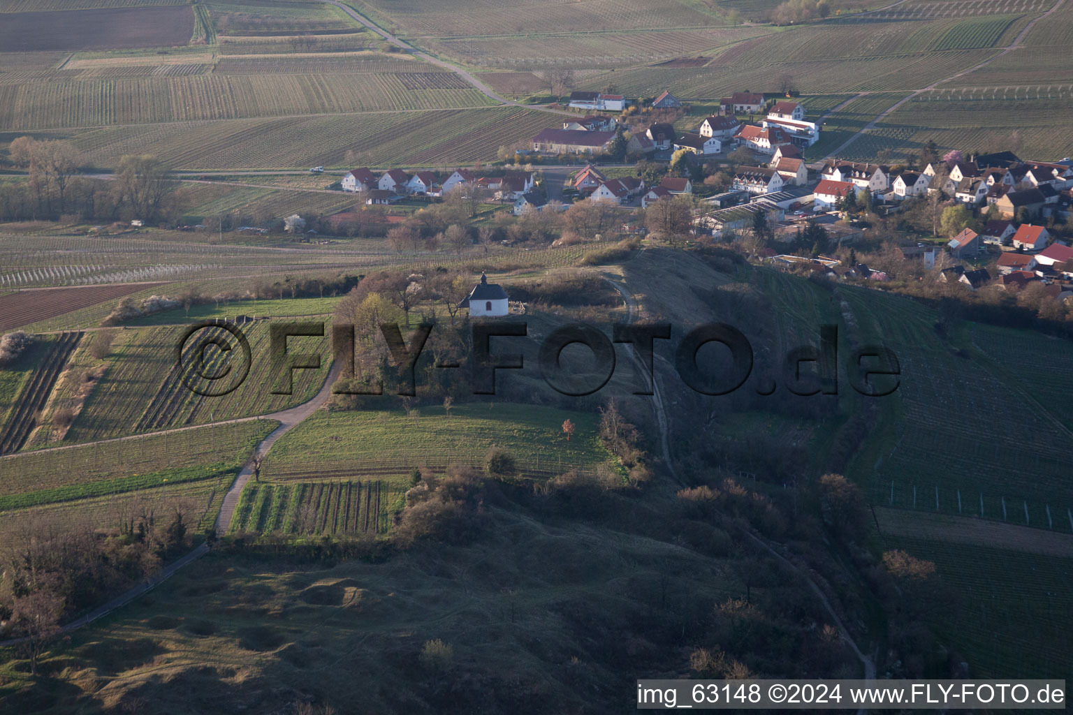 Vue oblique de Petit kalmit à Ilbesheim bei Landau in der Pfalz dans le département Rhénanie-Palatinat, Allemagne