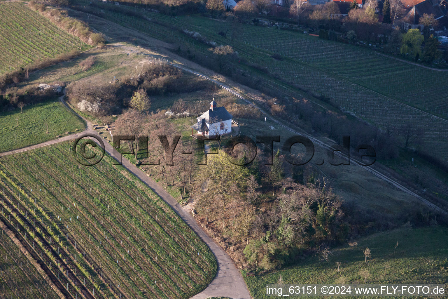 Petit kalmit à Ilbesheim bei Landau in der Pfalz dans le département Rhénanie-Palatinat, Allemagne d'en haut