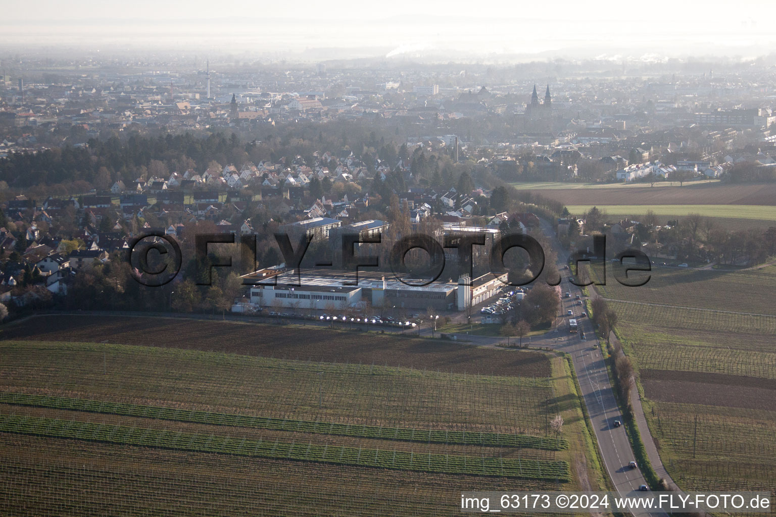 Landau in der Pfalz dans le département Rhénanie-Palatinat, Allemagne vu d'un drone