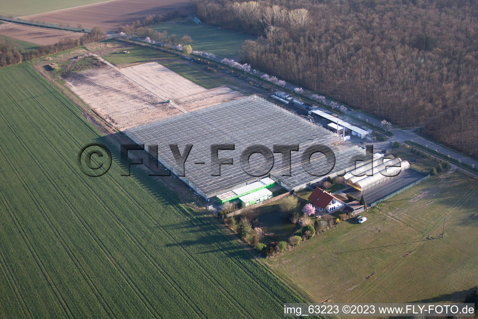 Essingen dans le département Rhénanie-Palatinat, Allemagne vue du ciel