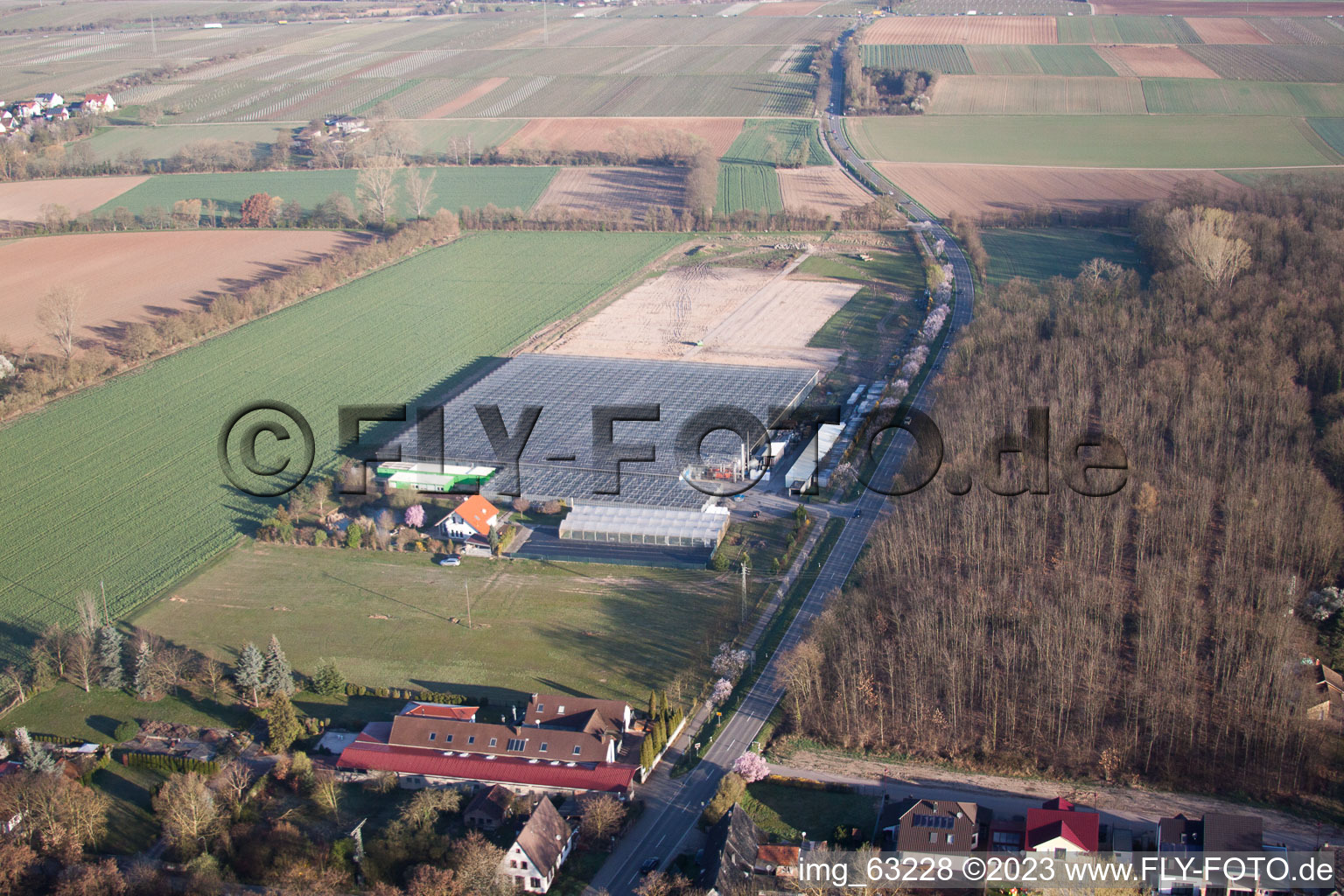 Image drone de Essingen dans le département Rhénanie-Palatinat, Allemagne