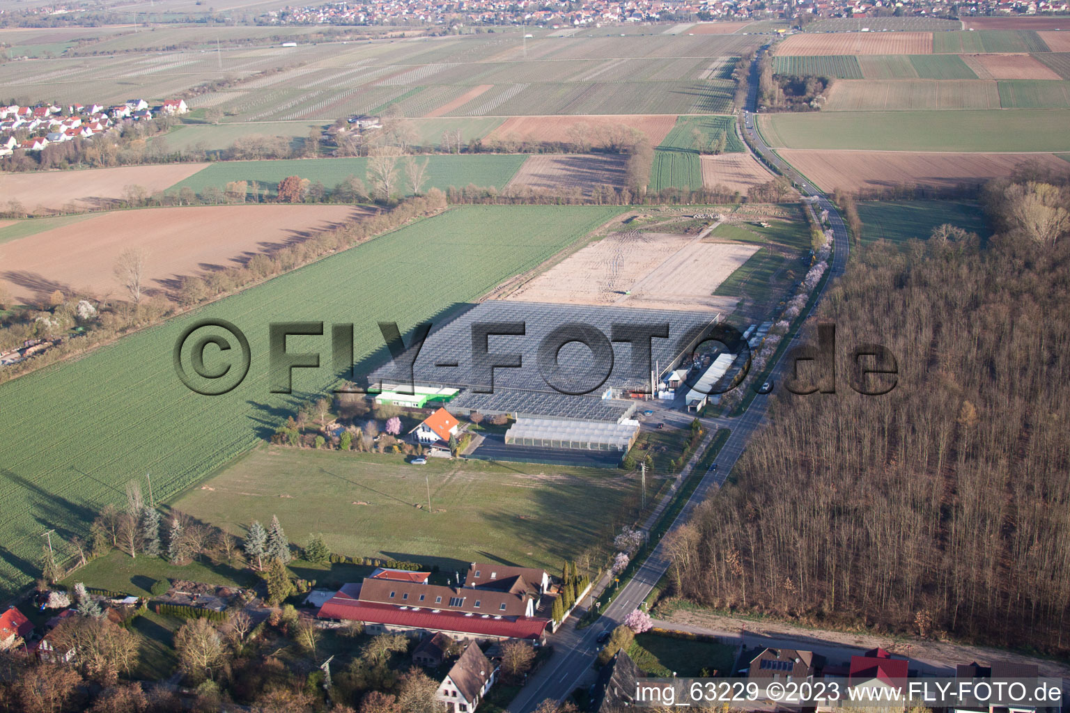 Essingen dans le département Rhénanie-Palatinat, Allemagne du point de vue du drone