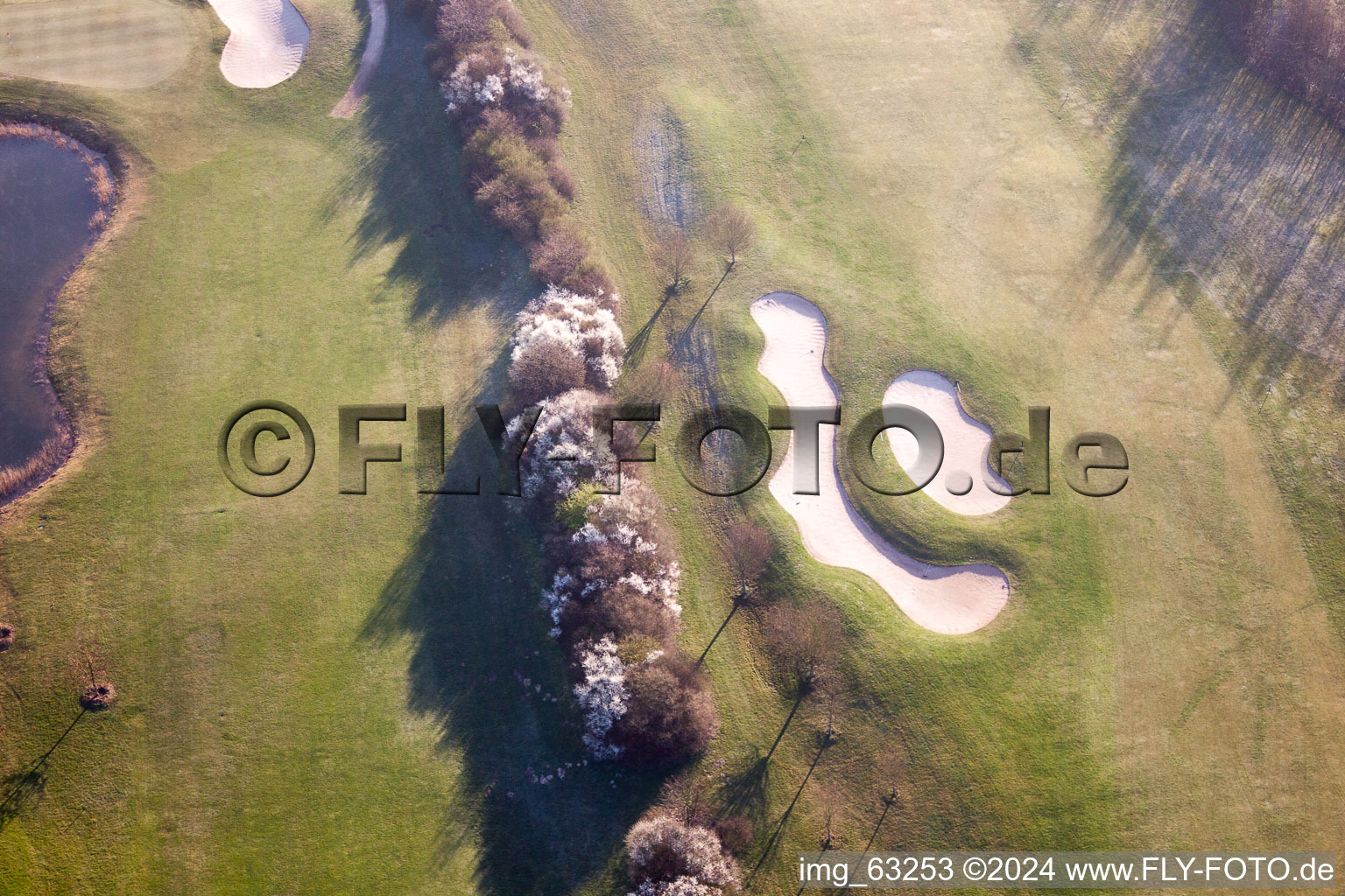 Golfclub Dreihof à Essingen dans le département Rhénanie-Palatinat, Allemagne hors des airs