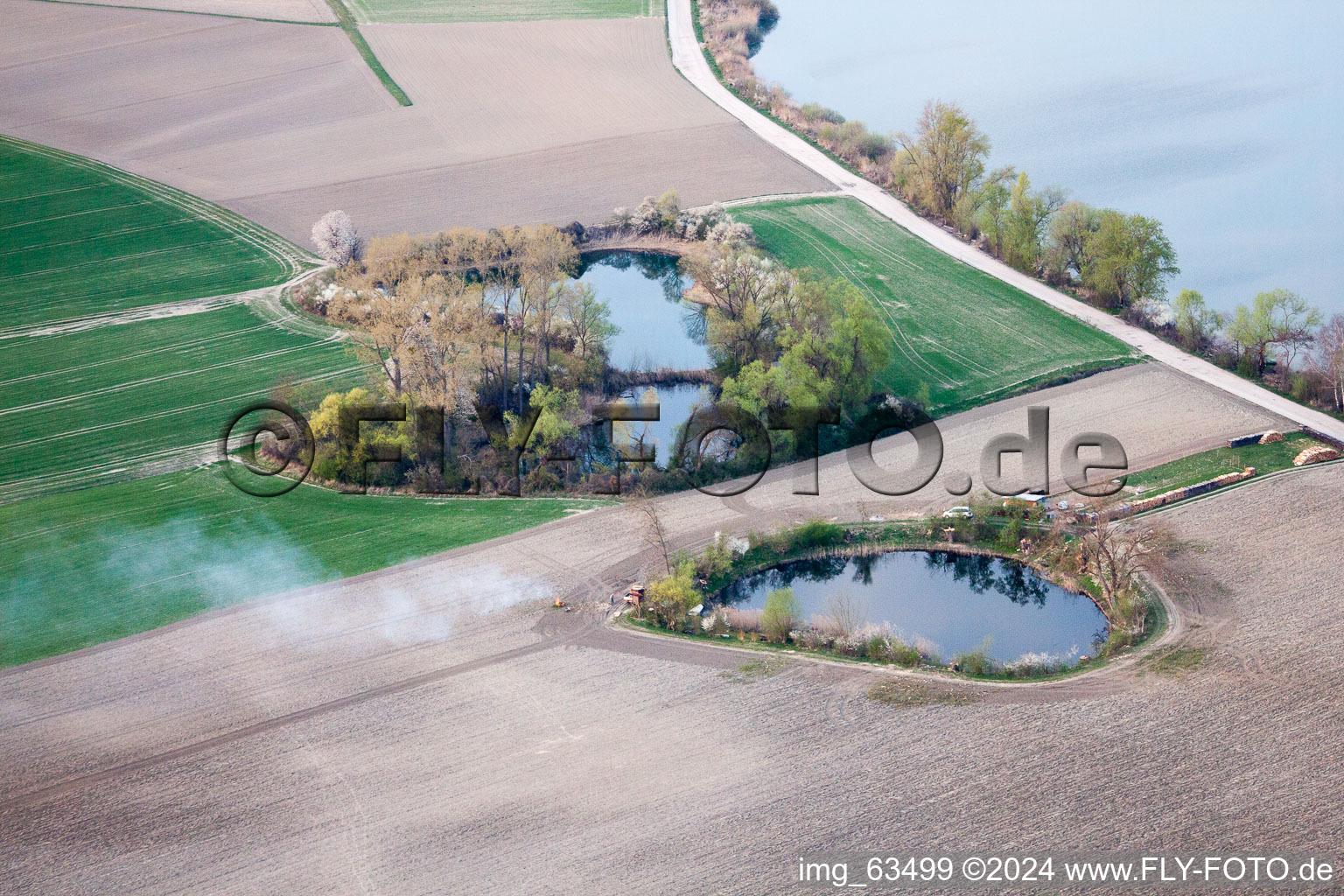 Neupotz dans le département Rhénanie-Palatinat, Allemagne vue du ciel