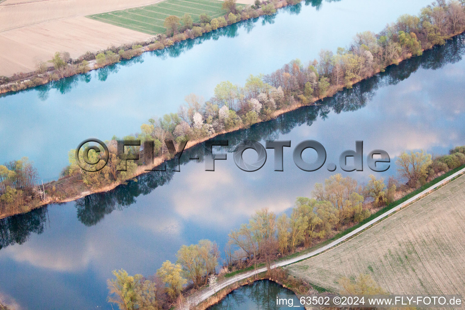 Vue aérienne de Zones riveraines de l'Altrhein à Neupotz dans le département Rhénanie-Palatinat, Allemagne