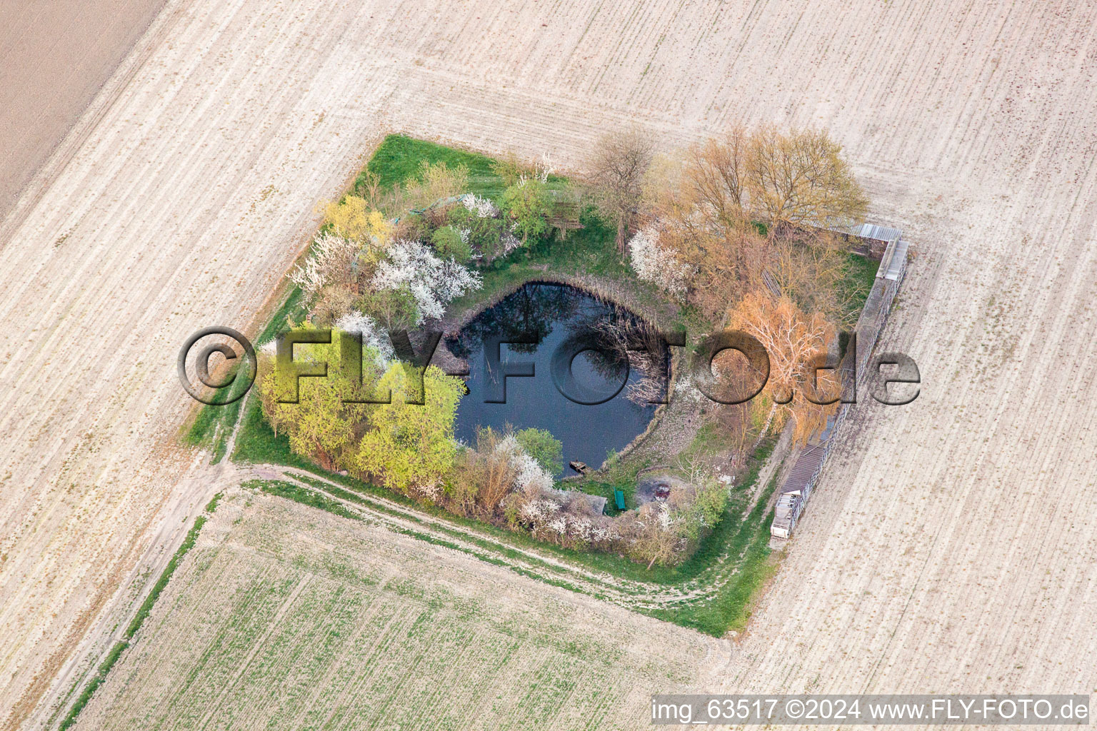 Vue aérienne de Étang de pêche à Neupotz à Leimersheim dans le département Rhénanie-Palatinat, Allemagne