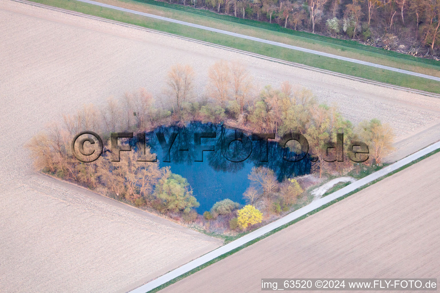 Neupotz dans le département Rhénanie-Palatinat, Allemagne vue d'en haut