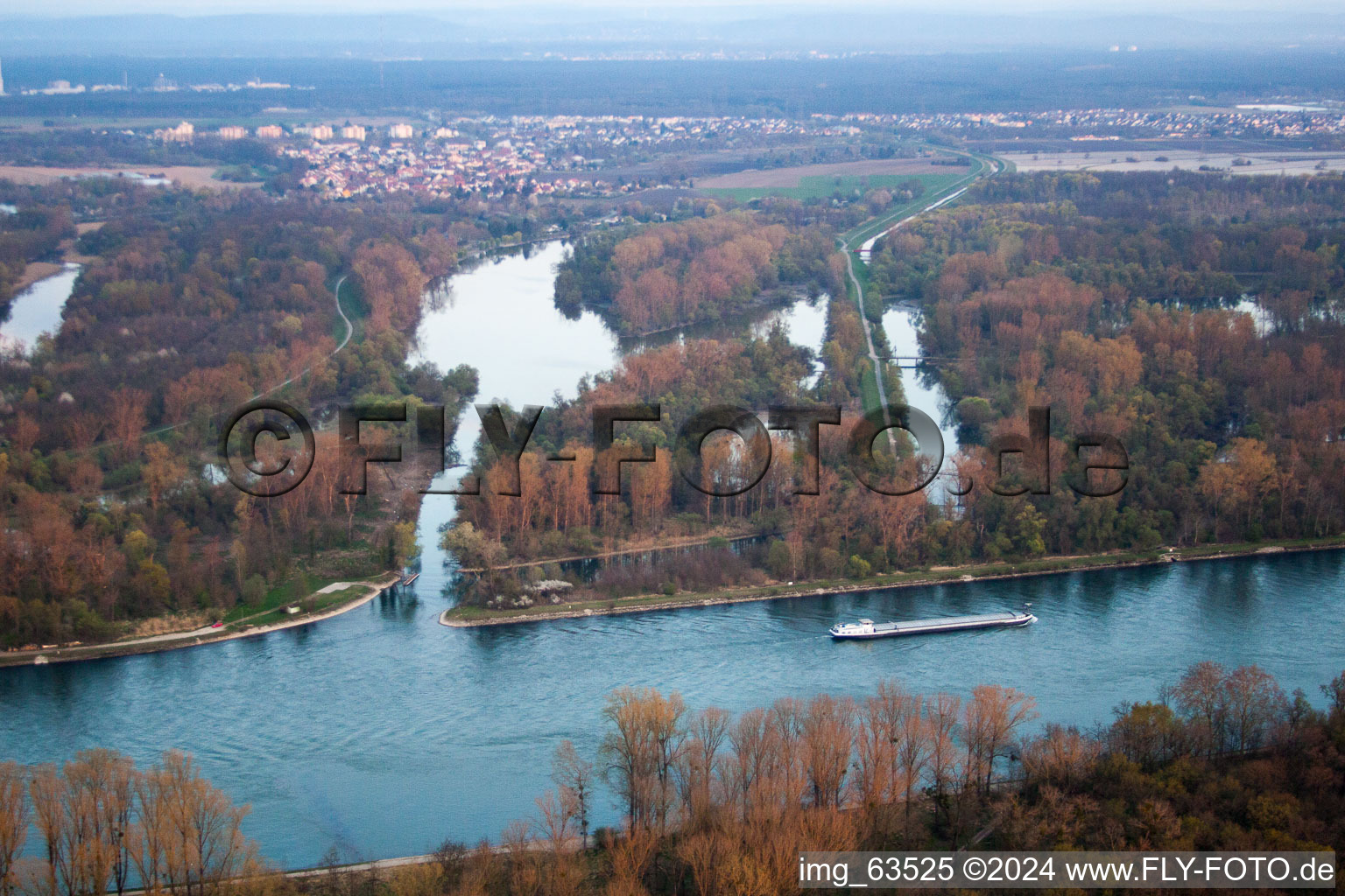 Vue d'oiseau de Neupotz dans le département Rhénanie-Palatinat, Allemagne