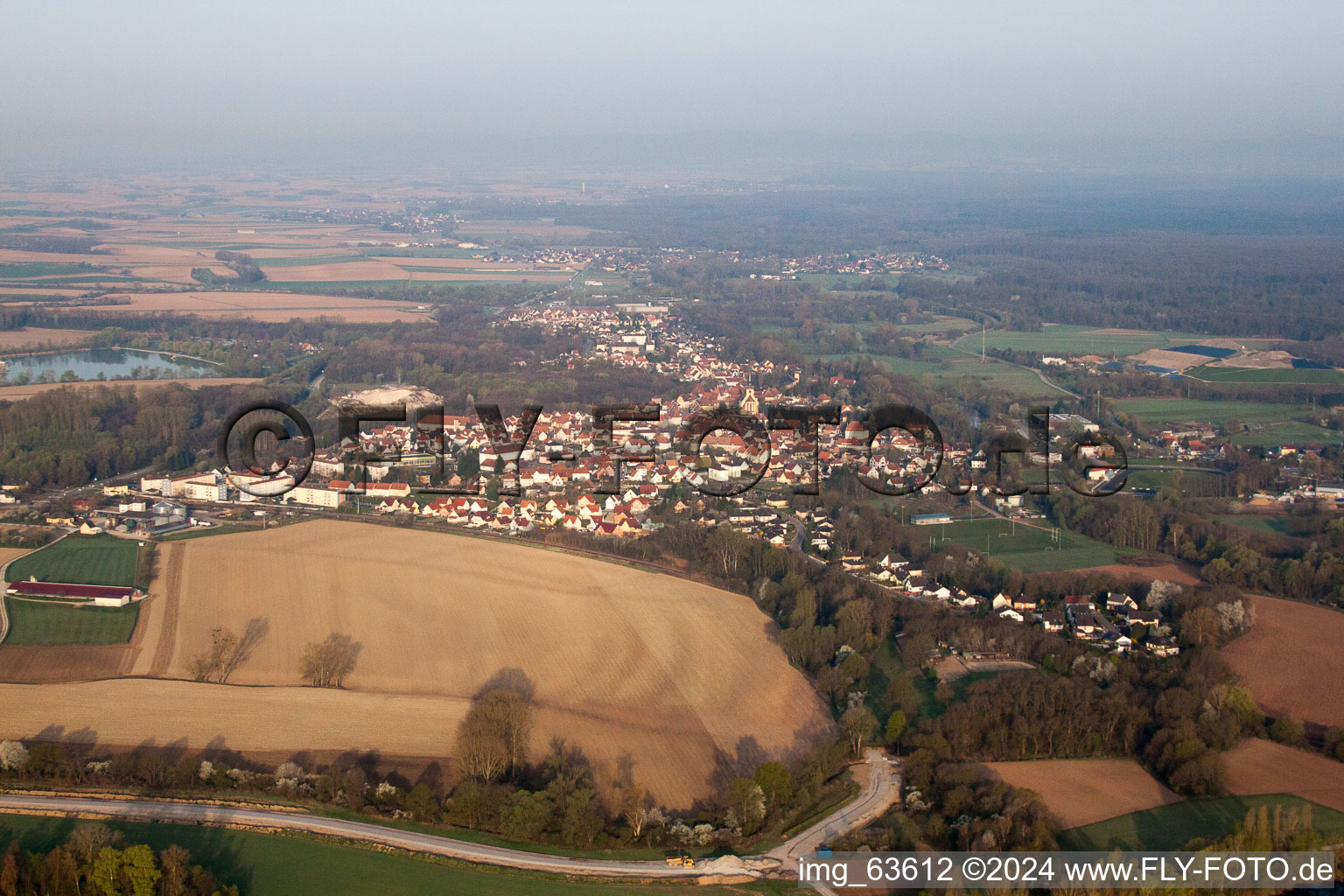 Photographie aérienne de Lauterbourg dans le département Bas Rhin, France