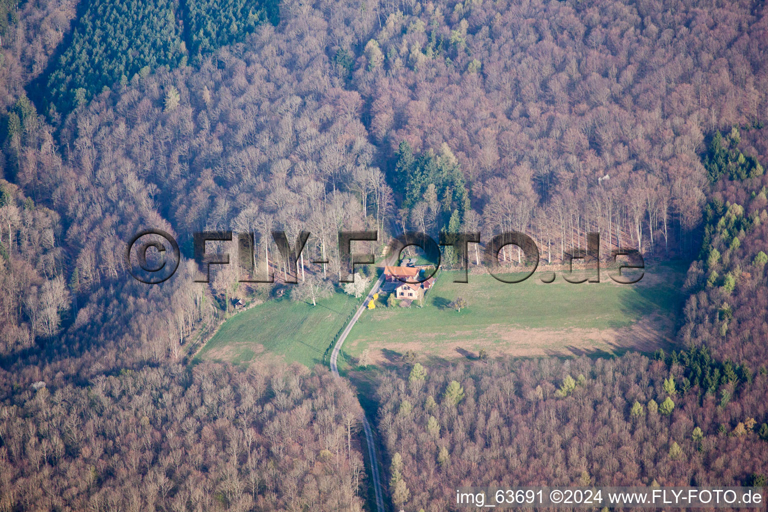 Langensoultzbach dans le département Bas Rhin, France vue du ciel